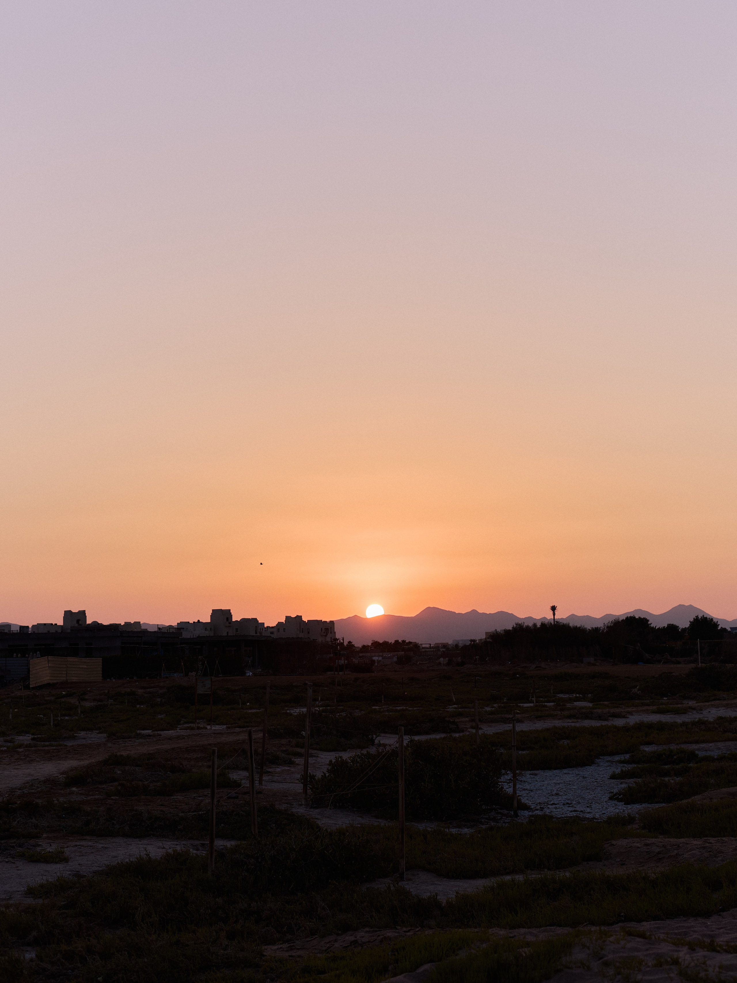 Другое 3. Jorgis Talè — photographer, kind person, teacher of arts and other mag