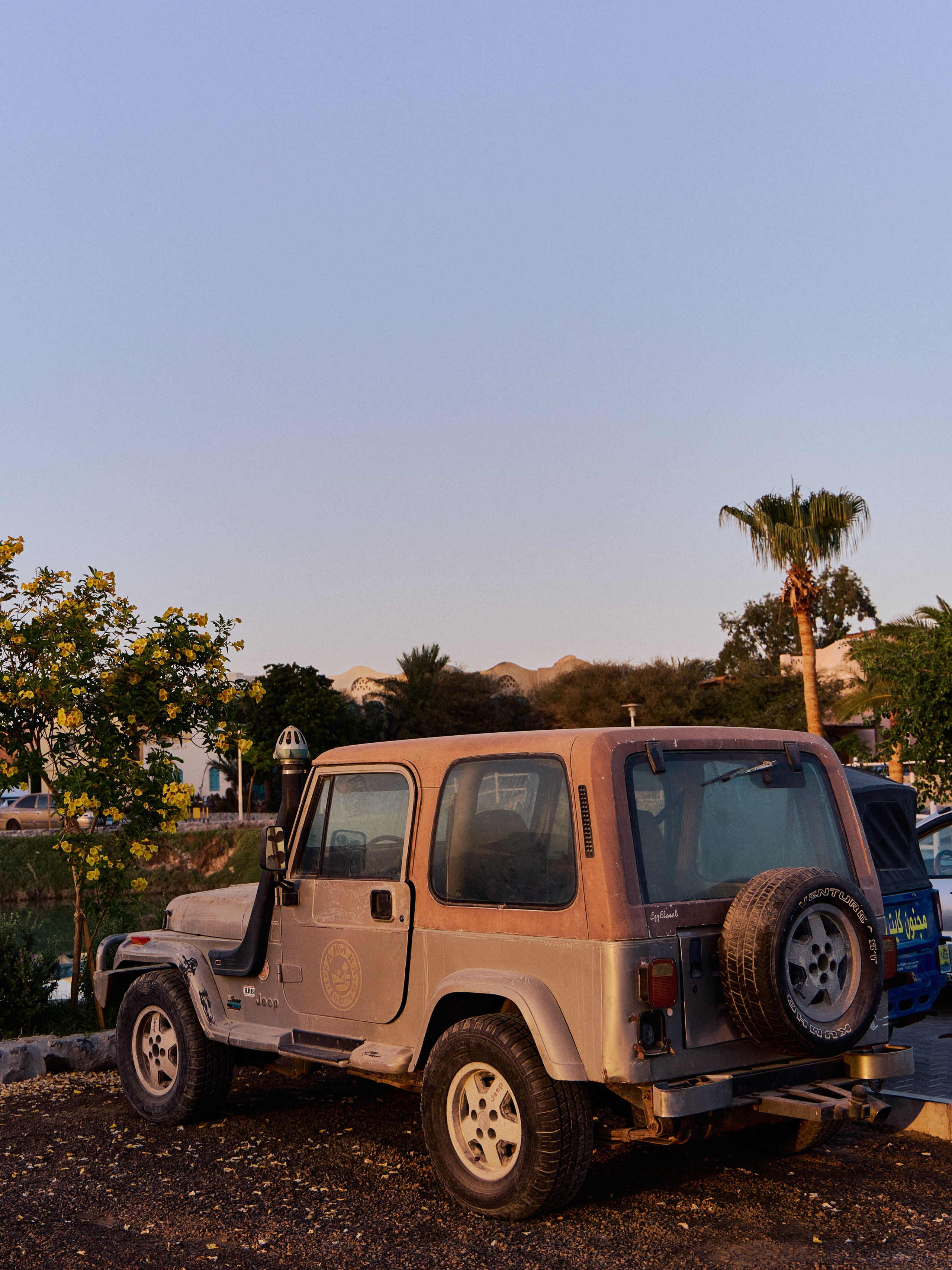 Другое 3. Jorgis — фотограф в Хургаде / обучение фотографии