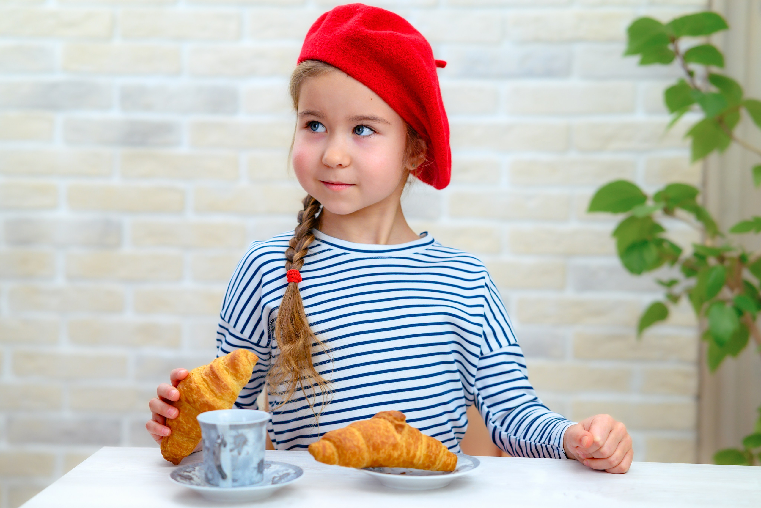 Страны. Выпускные альбомы в Туле и Тульской области для школ и детских садов