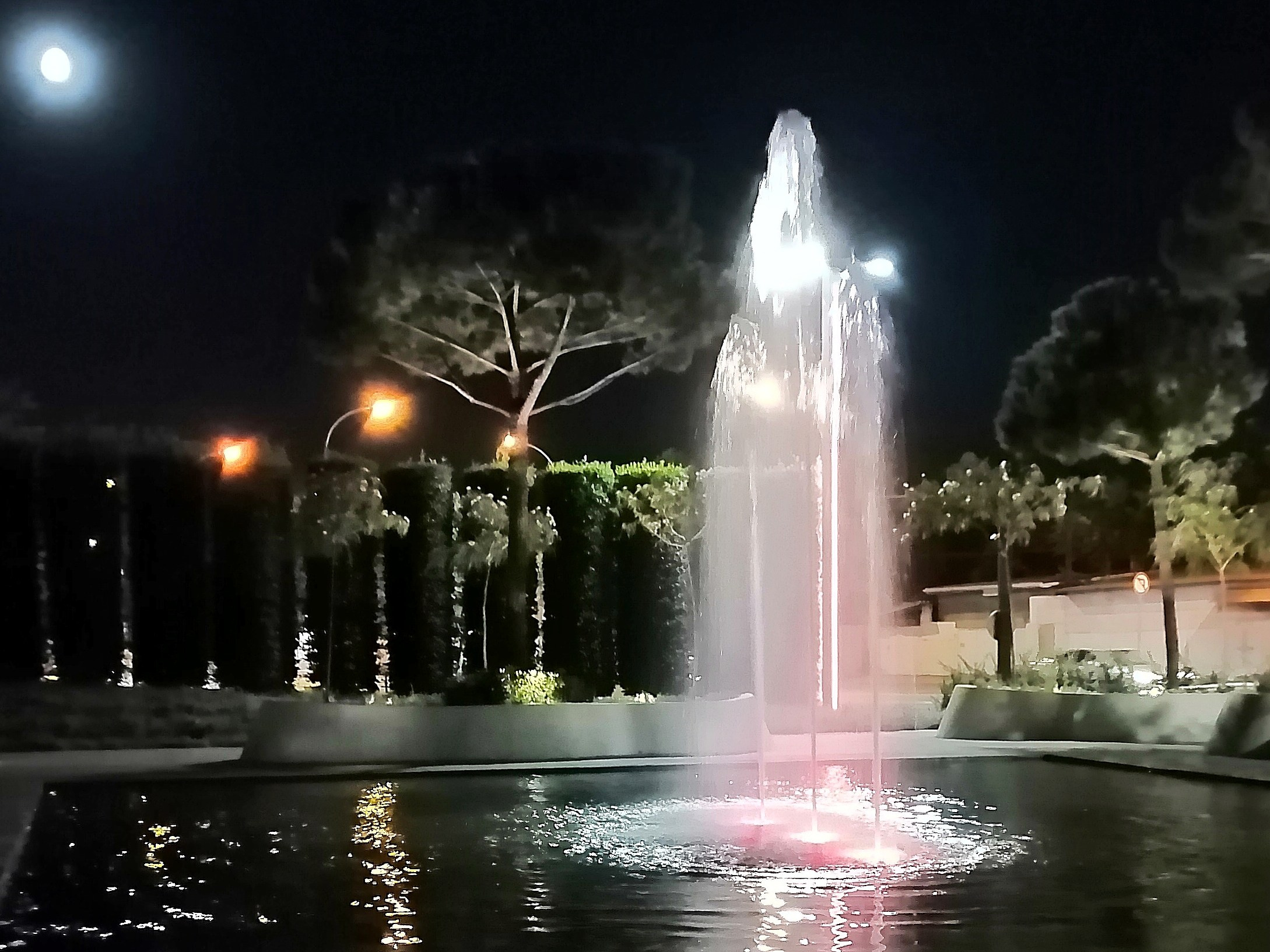 Парк Краснодар (парк Галицкого). Фотограф Славянск на Кубани