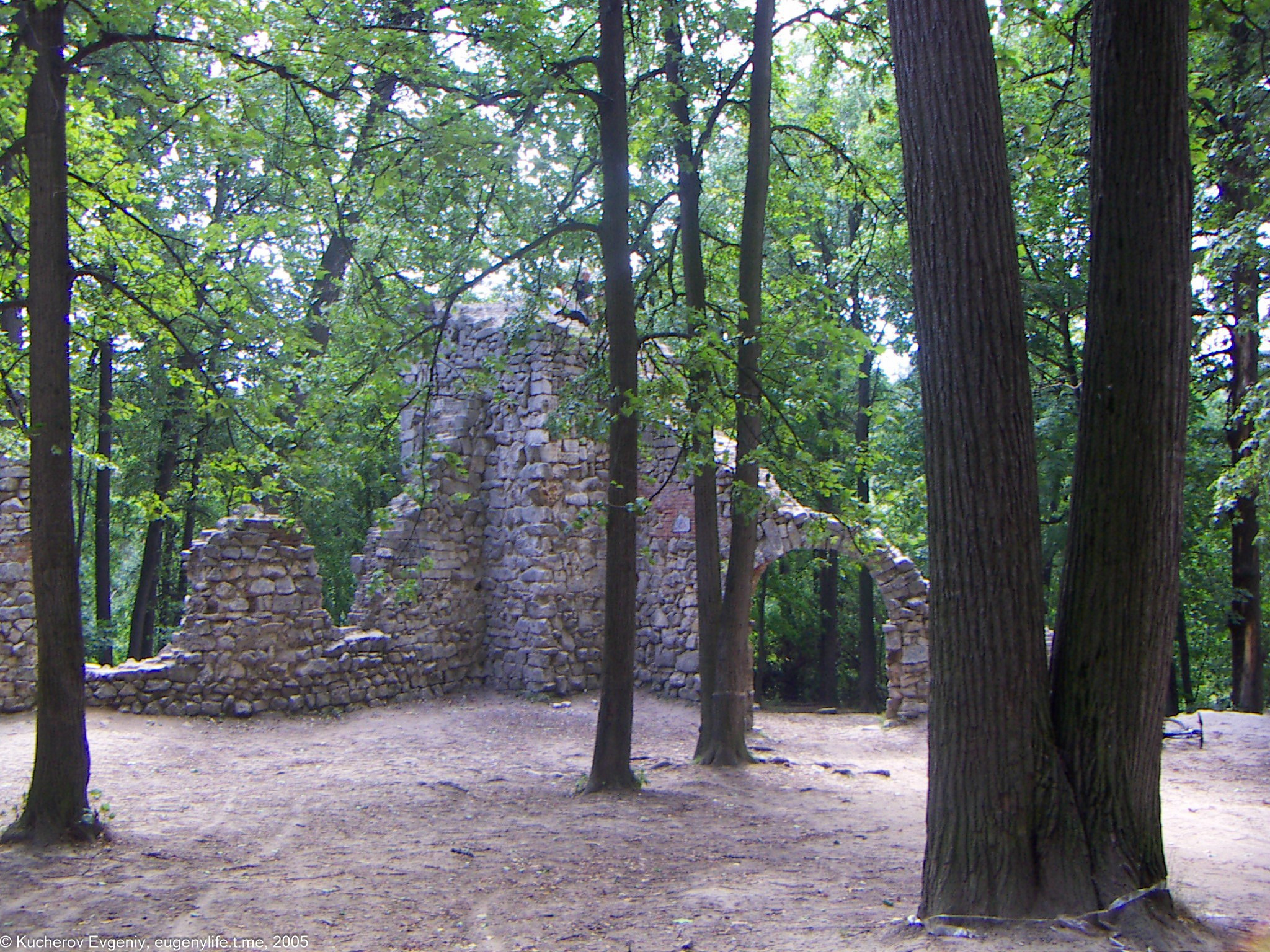 Август 2005. Царицыно. Кучеров Евгений. Фотограф