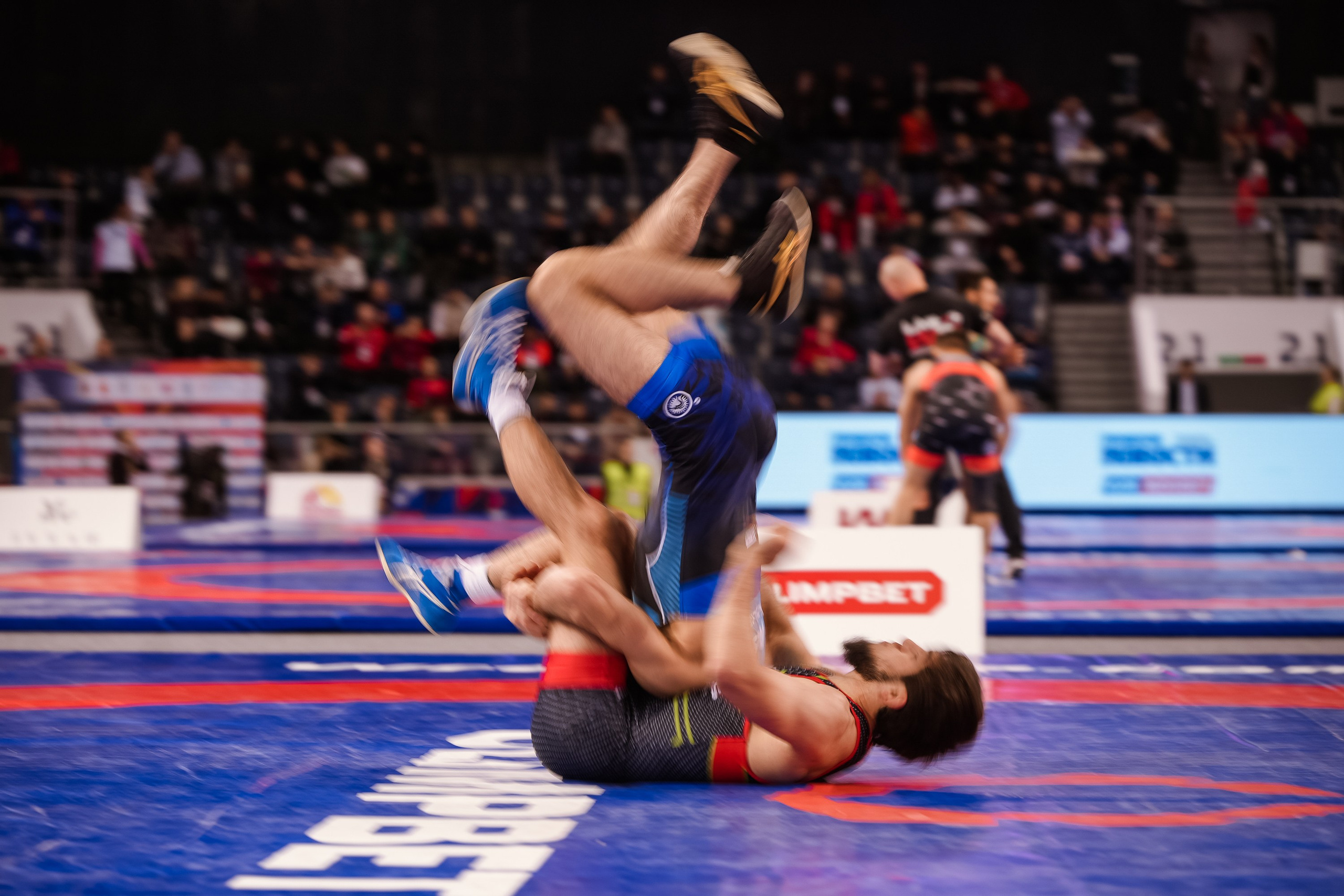 Кубок Ивана Ярыгина 2025 фотографии / ivan yarygin cup 2025 photos. Фотограф Анна Герман. Красноярск