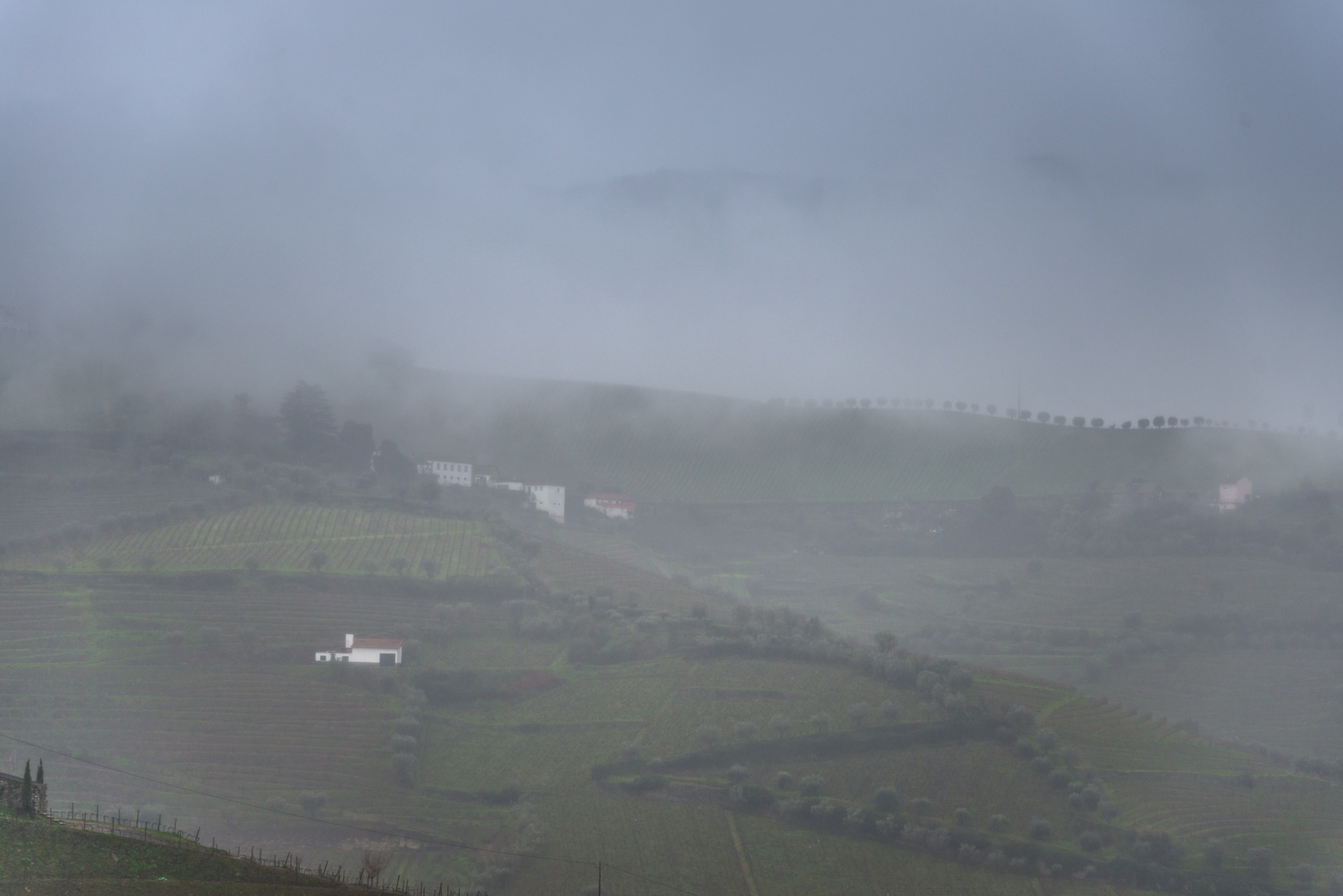 Douro