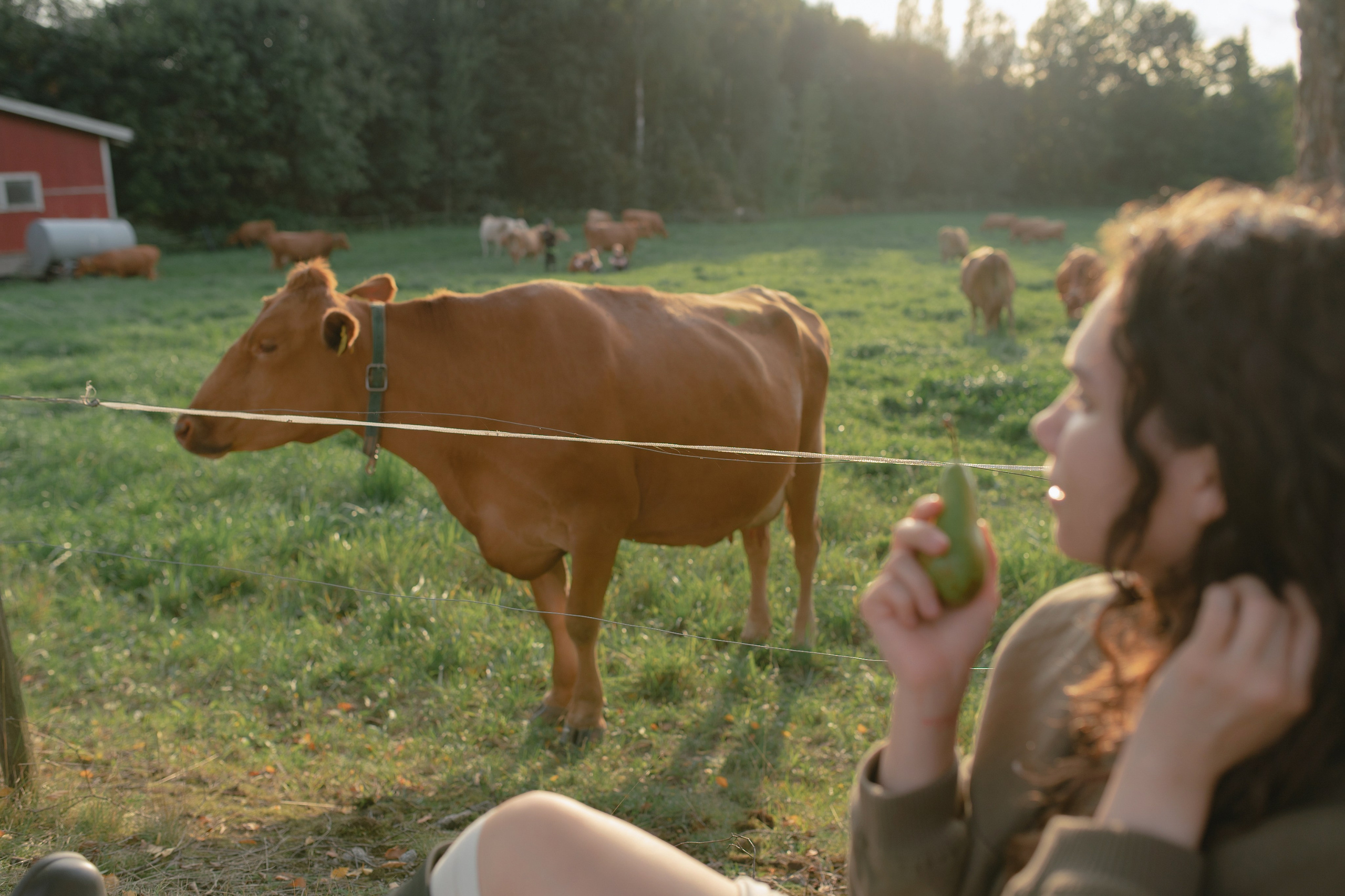 Maria. Family and content photographer