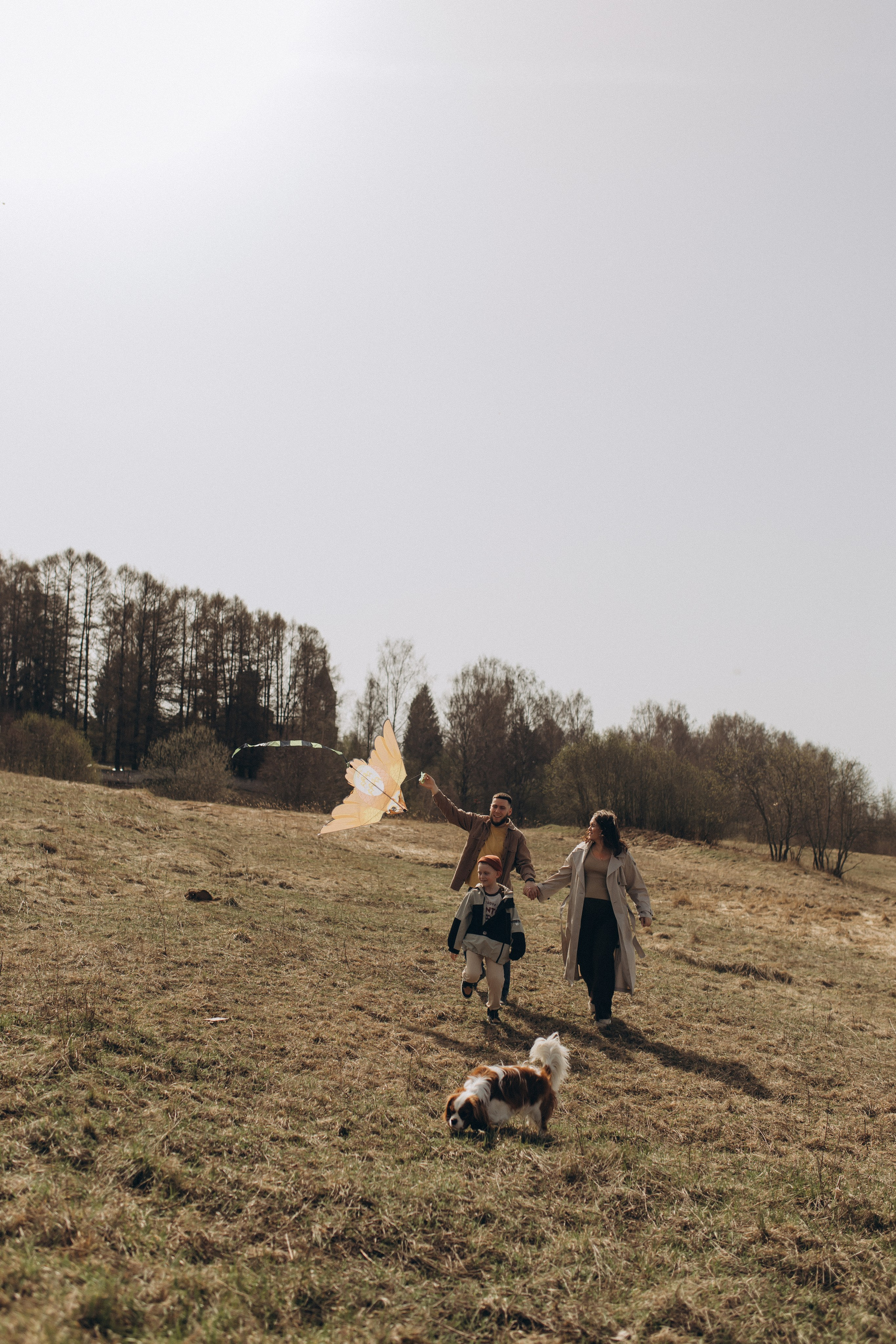 Николай, Елена, Тимофей и Арчи. Услуги