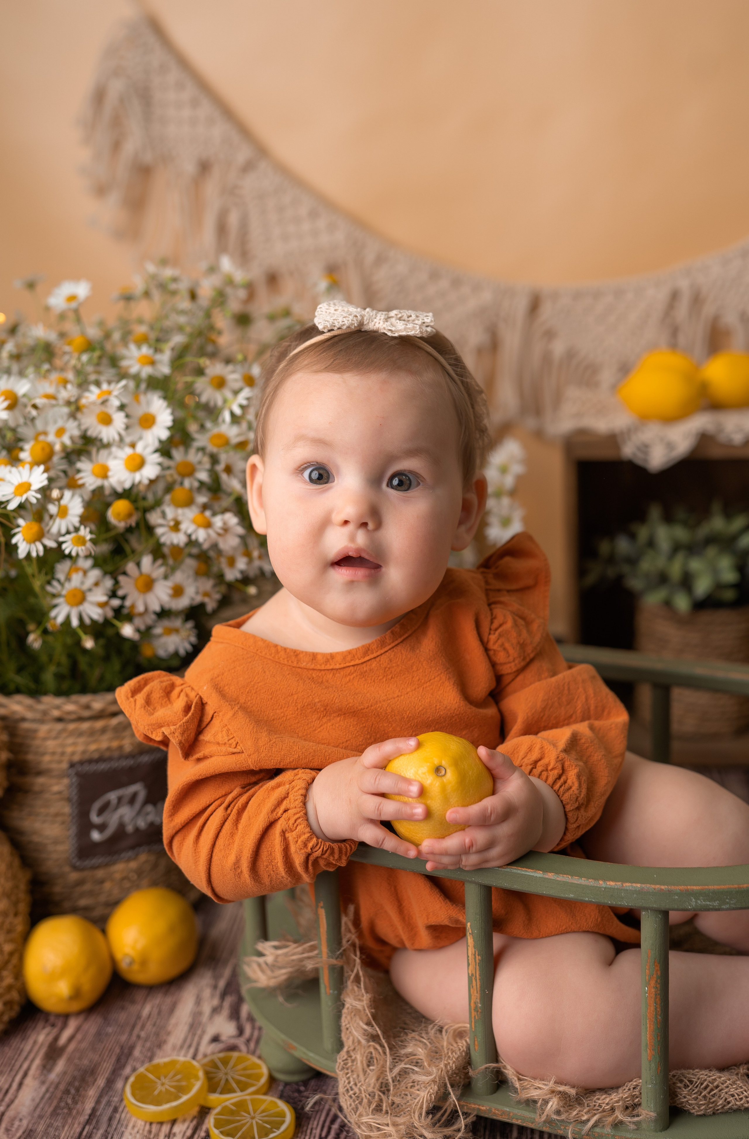 РОМАШКИ 2023. Фотограф новорожденных г. Рязань, детский и семейный фотограф