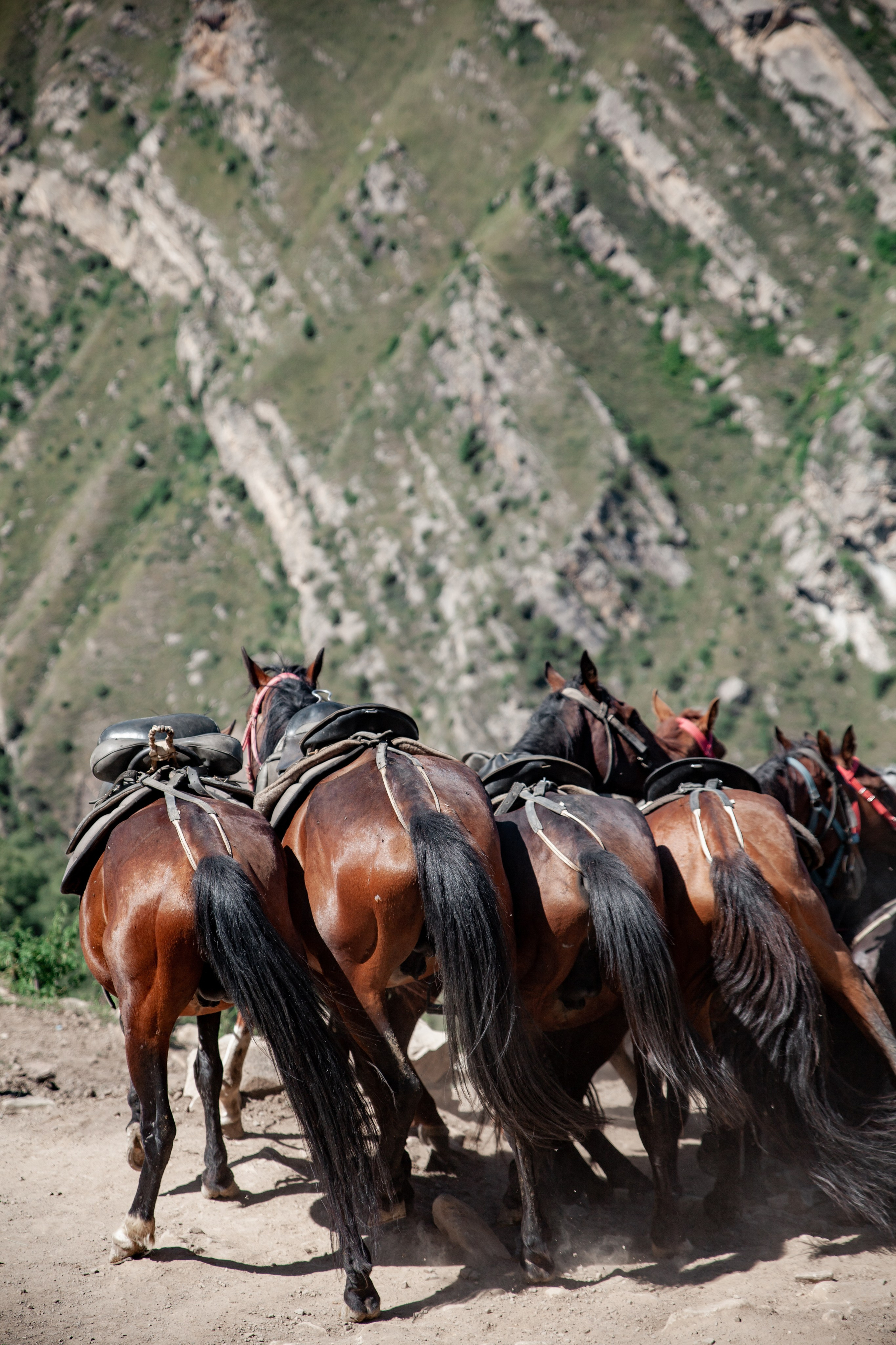 Дагестан. Репортажный и детский фотограф в Минске