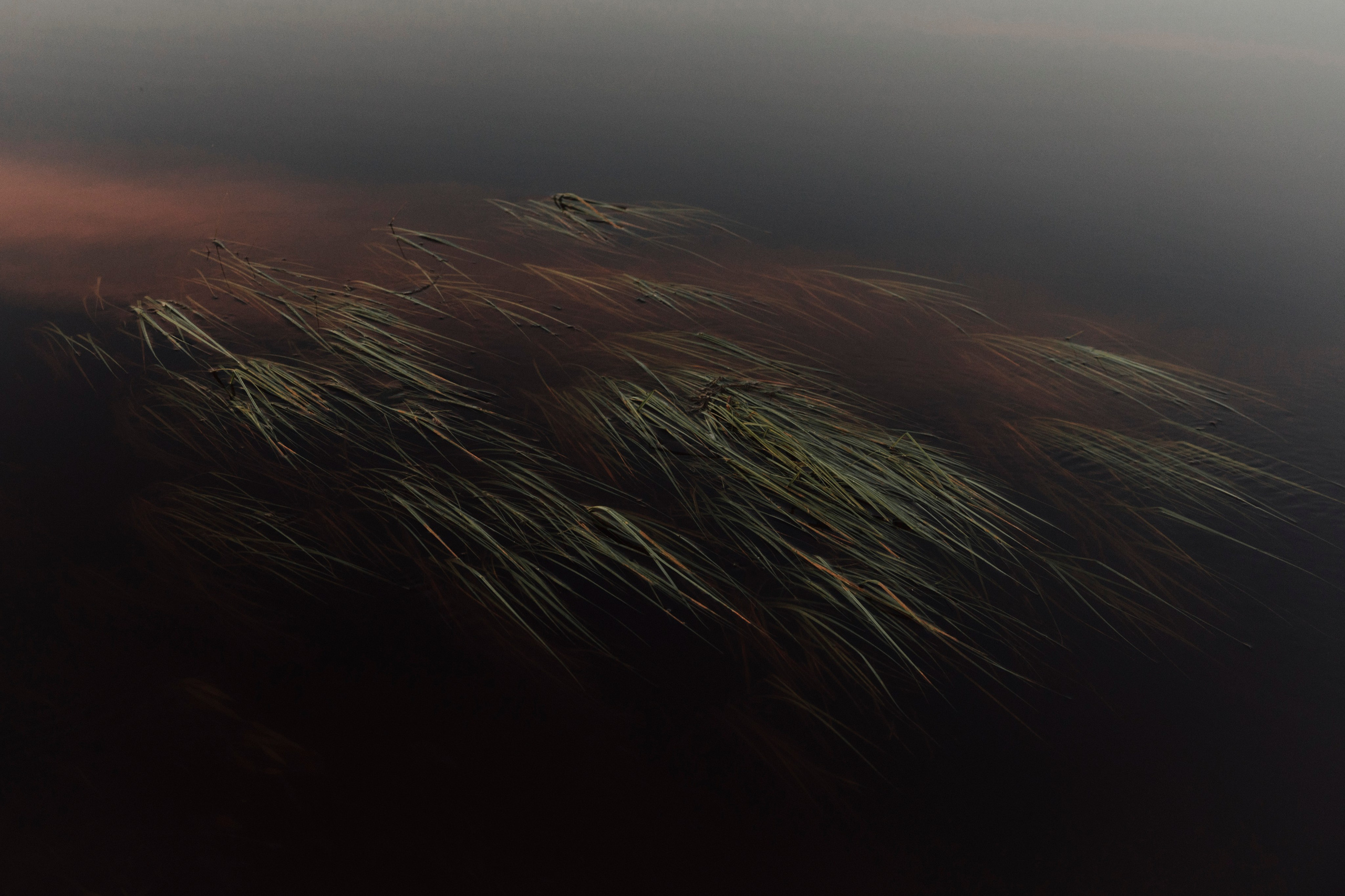 TWO ELEMENTS. Wedding videographer in Europe and Russia Ilya Novikov