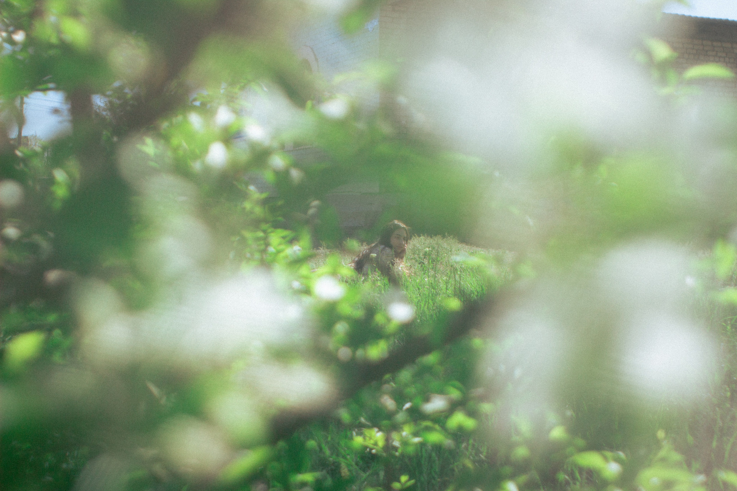 Земля смеётся цветами. • Фотограф Александра Светозар Алчевск •