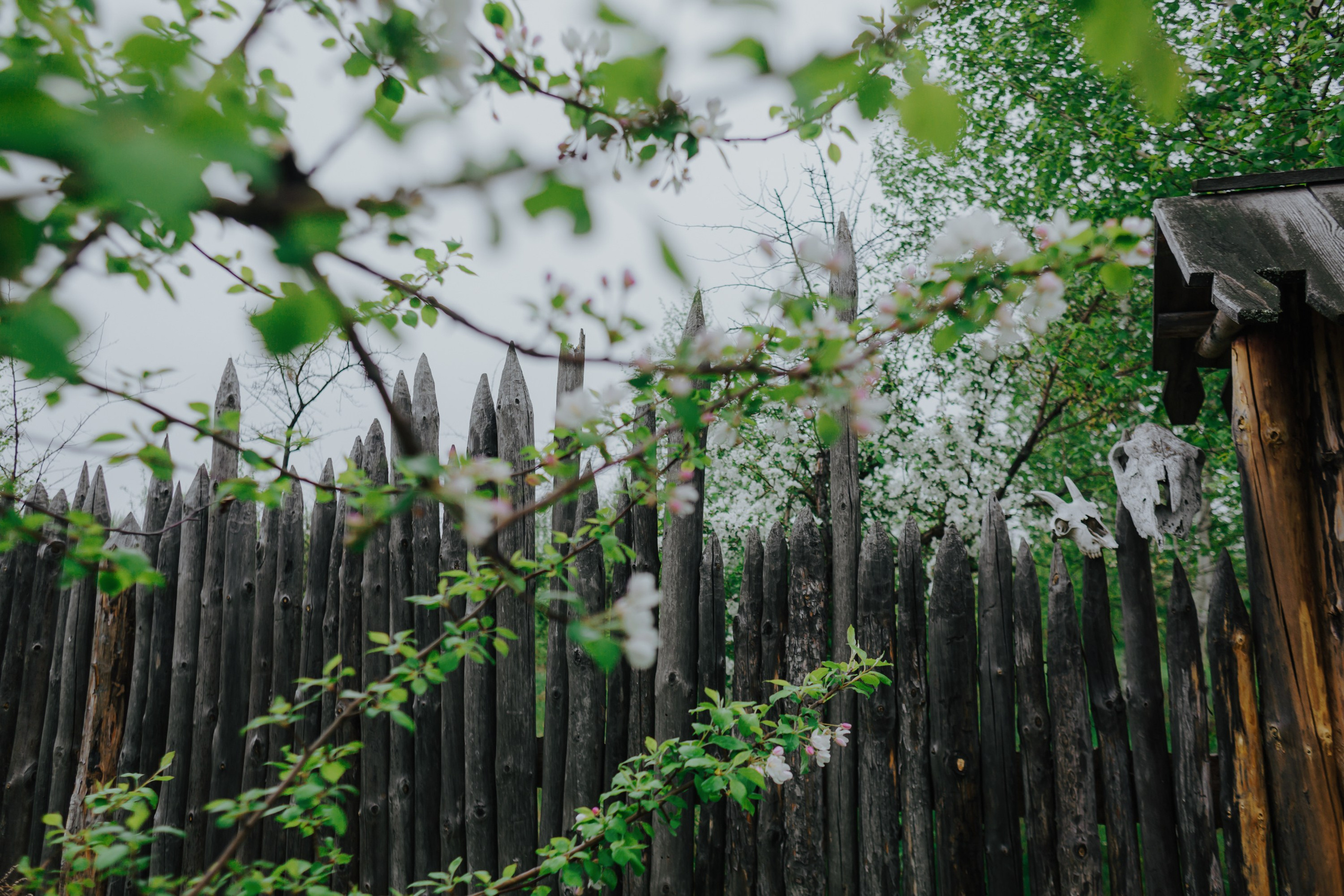 Исторический парк «Гардарика». Татьяна Журавлева