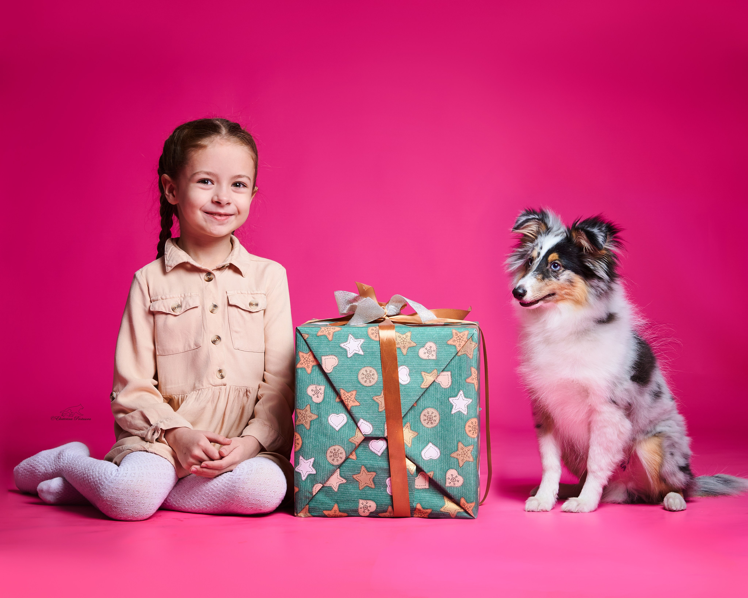 Джек и его семья. Фотограф-анималист в Иркутске