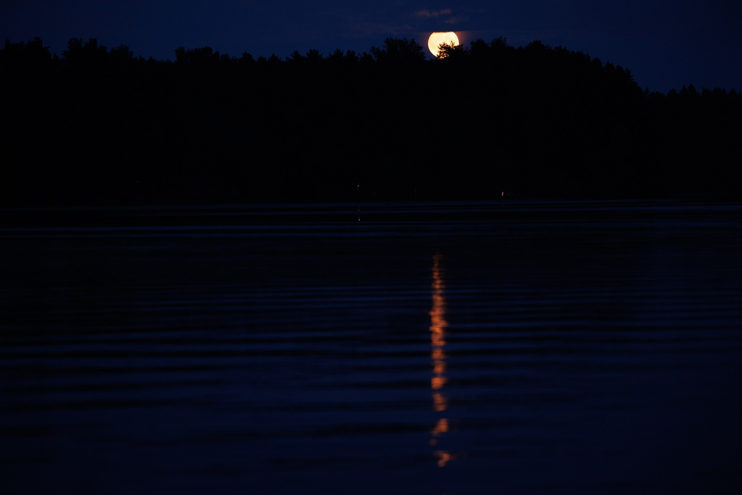 На берегу. Свадебный и семейный фотограф в Твери, Москве, Санкт-Петербурге