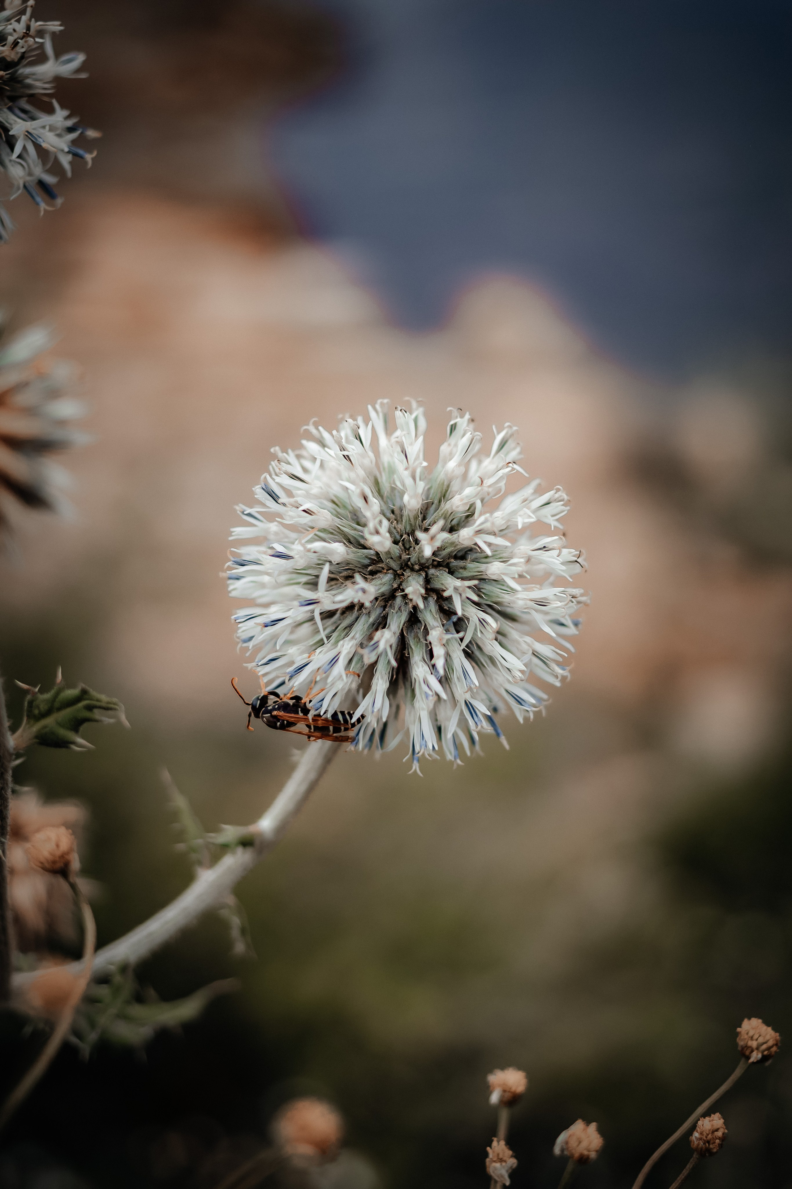 Nature. Оля Валиахметова — портретный и репортажный фотограф из Екатеринбурга