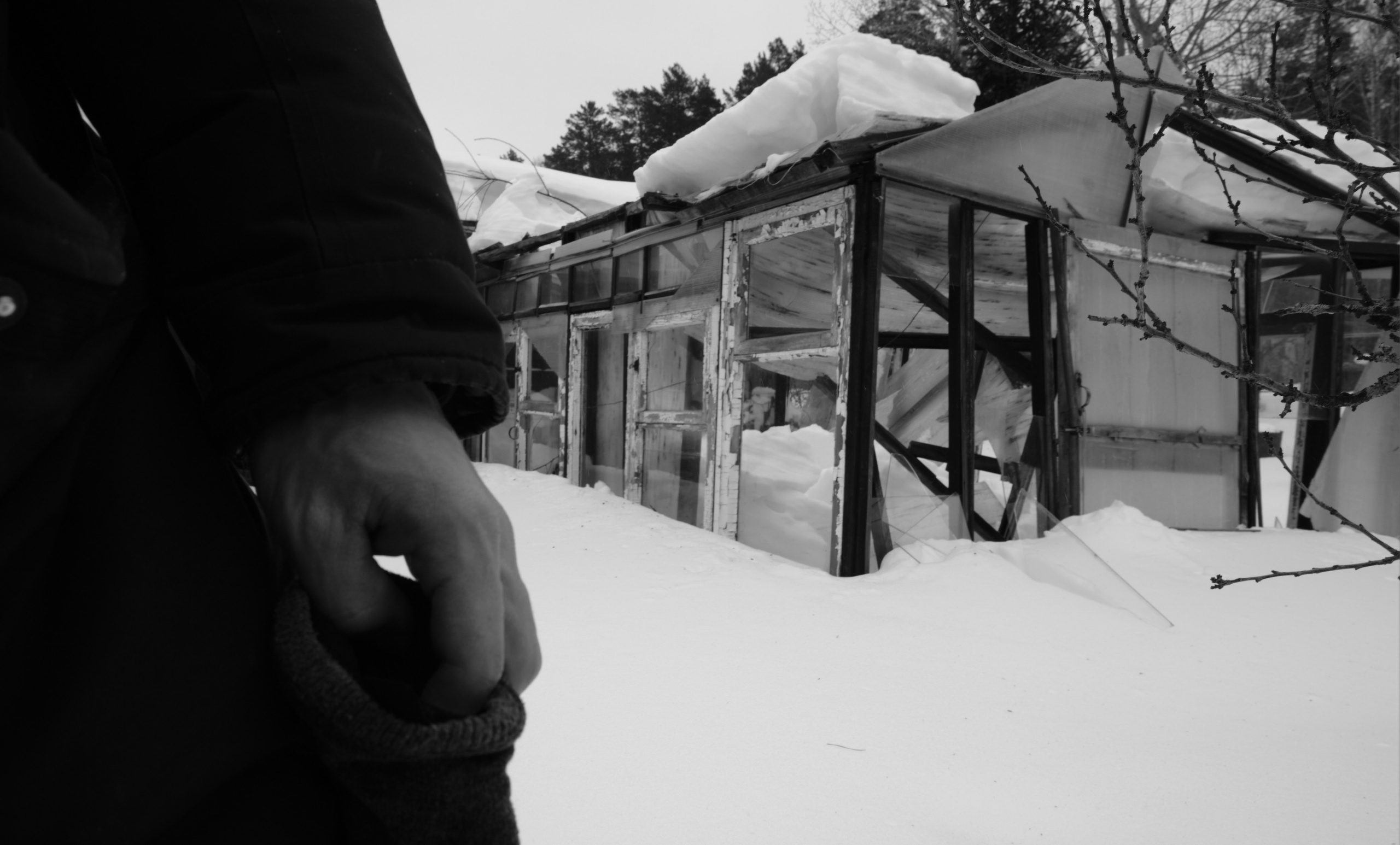 отпечатки и снимки в ретро-стили и черно-белые