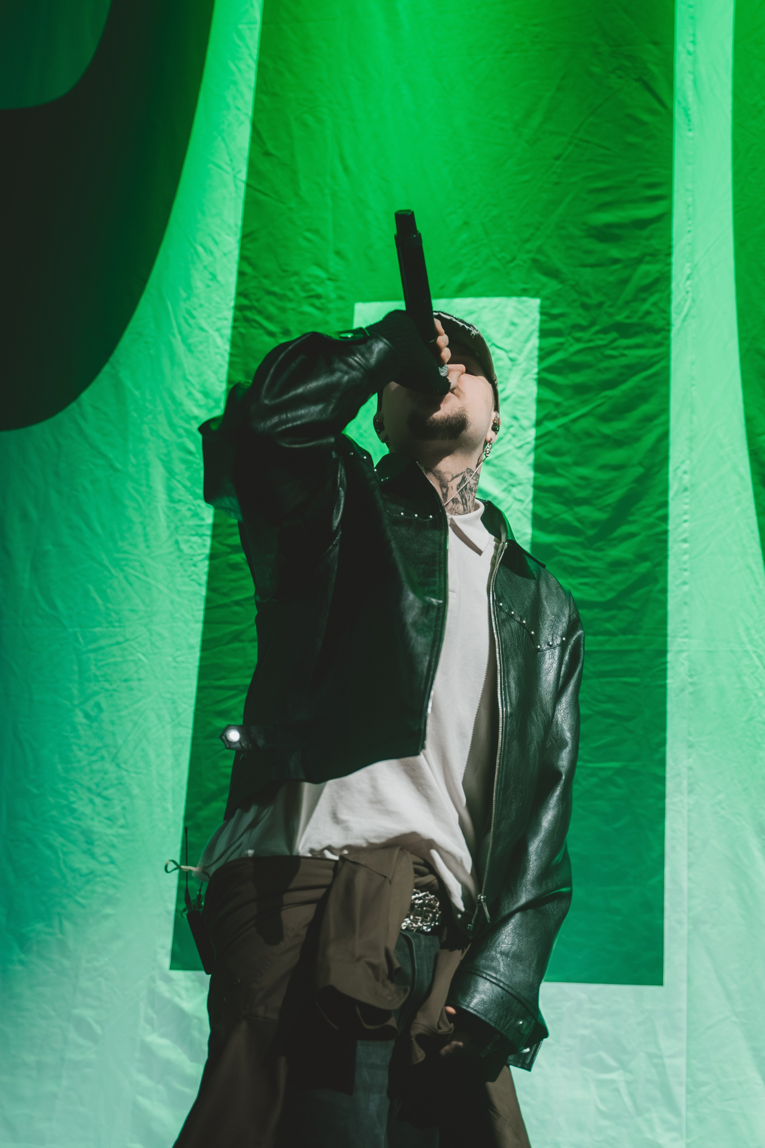 SALUKI. Фотограф Санкт-Петербурга