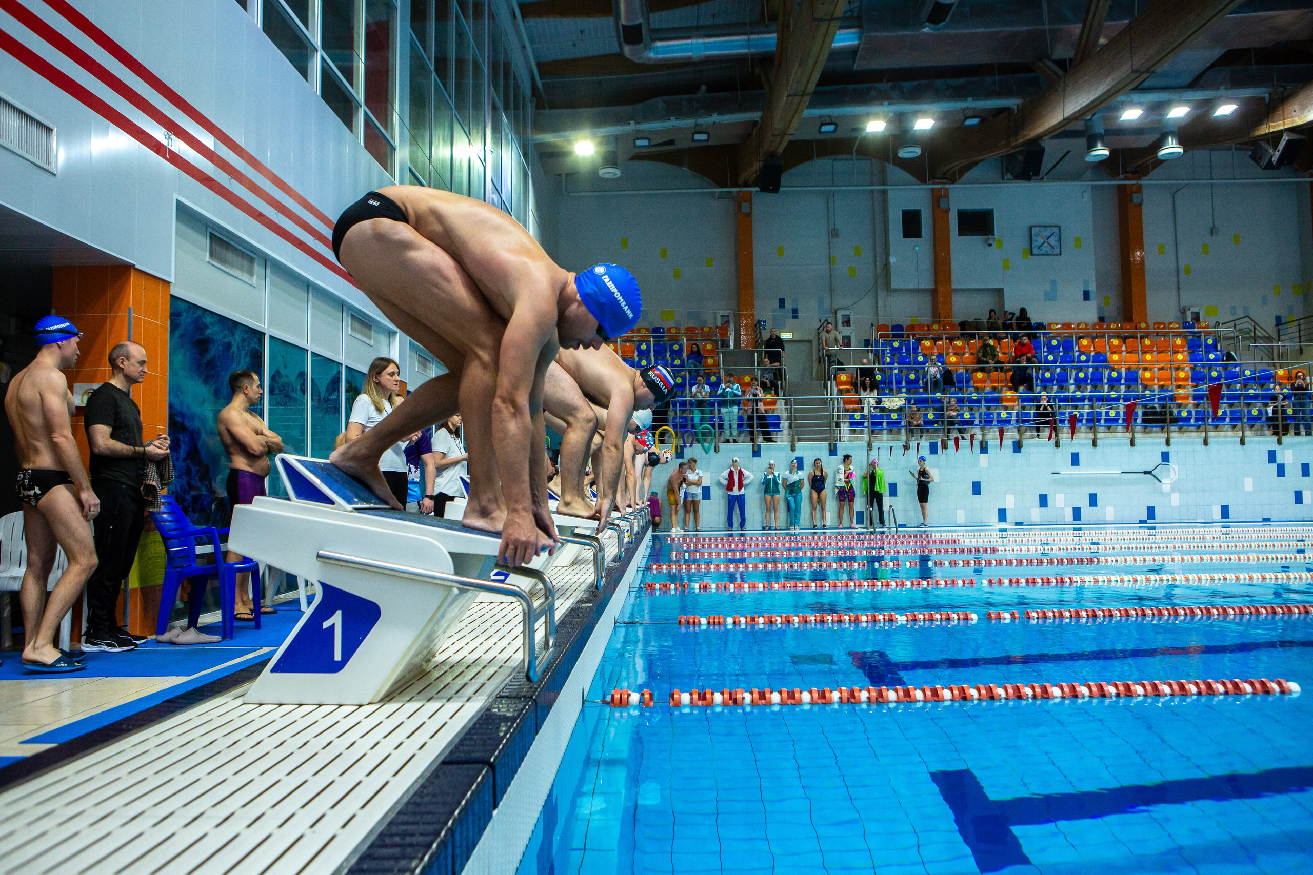Турнир по плаванию. Репортажный, семейный, свадебный, портретный фотограф