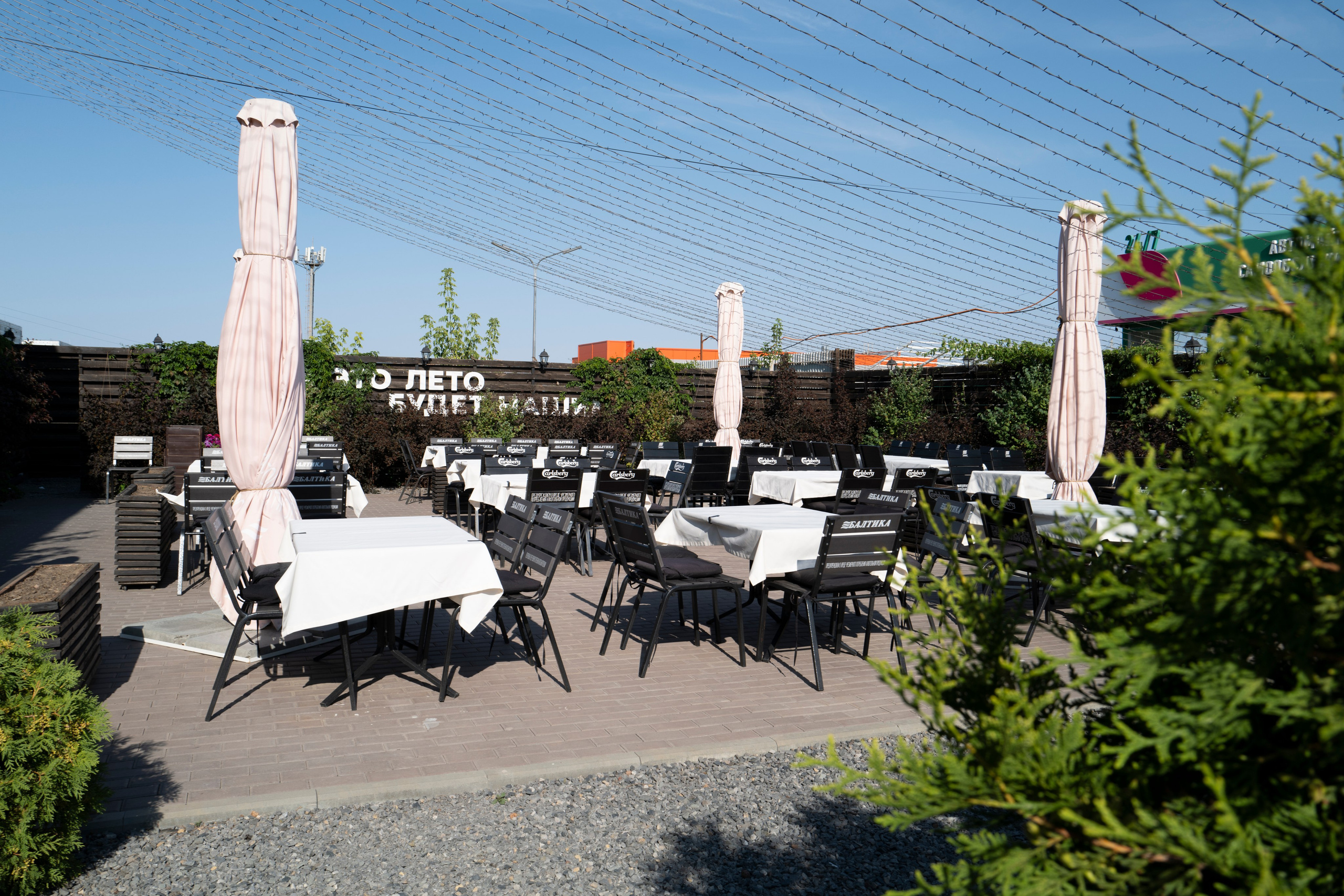 Рестораны. Maxon Magnusson