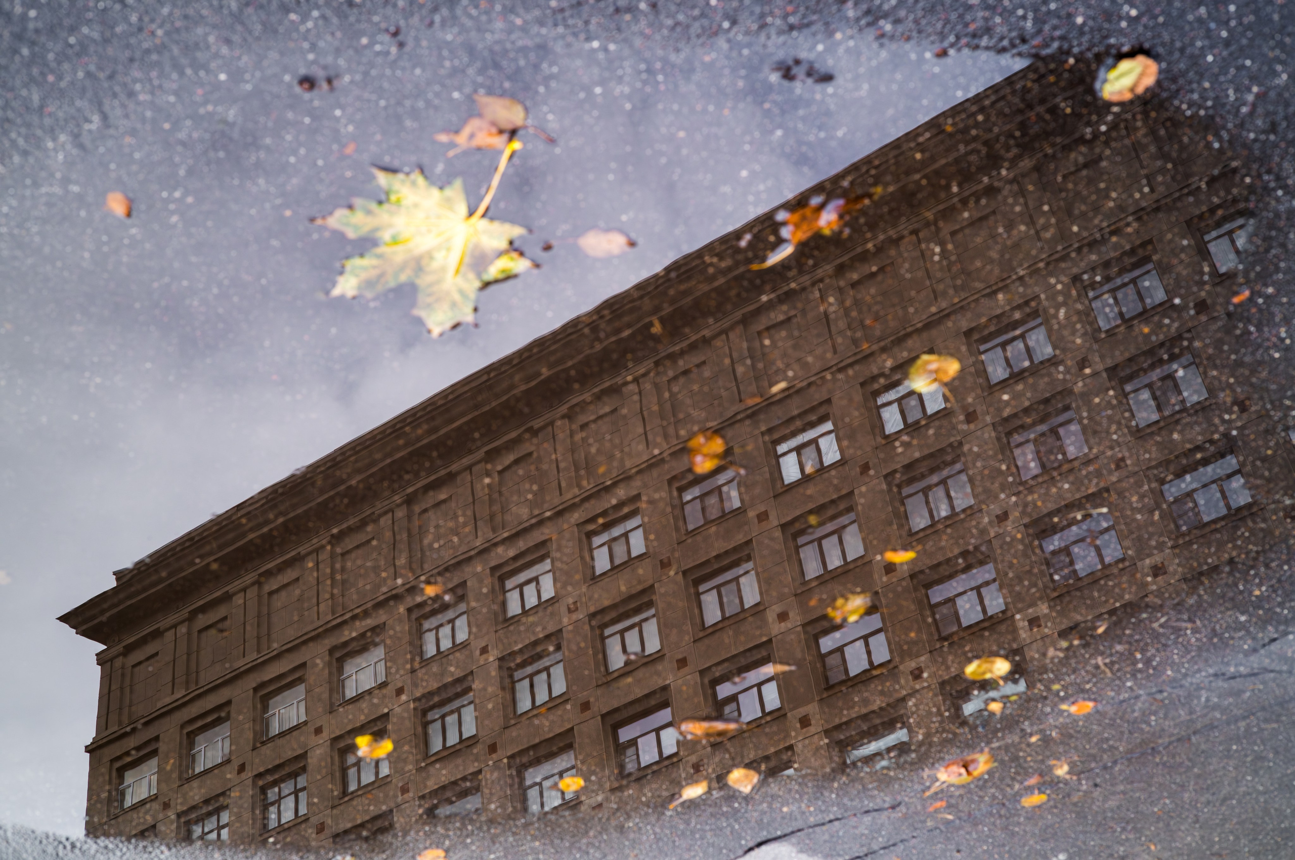 Отражение здания в осенней луже