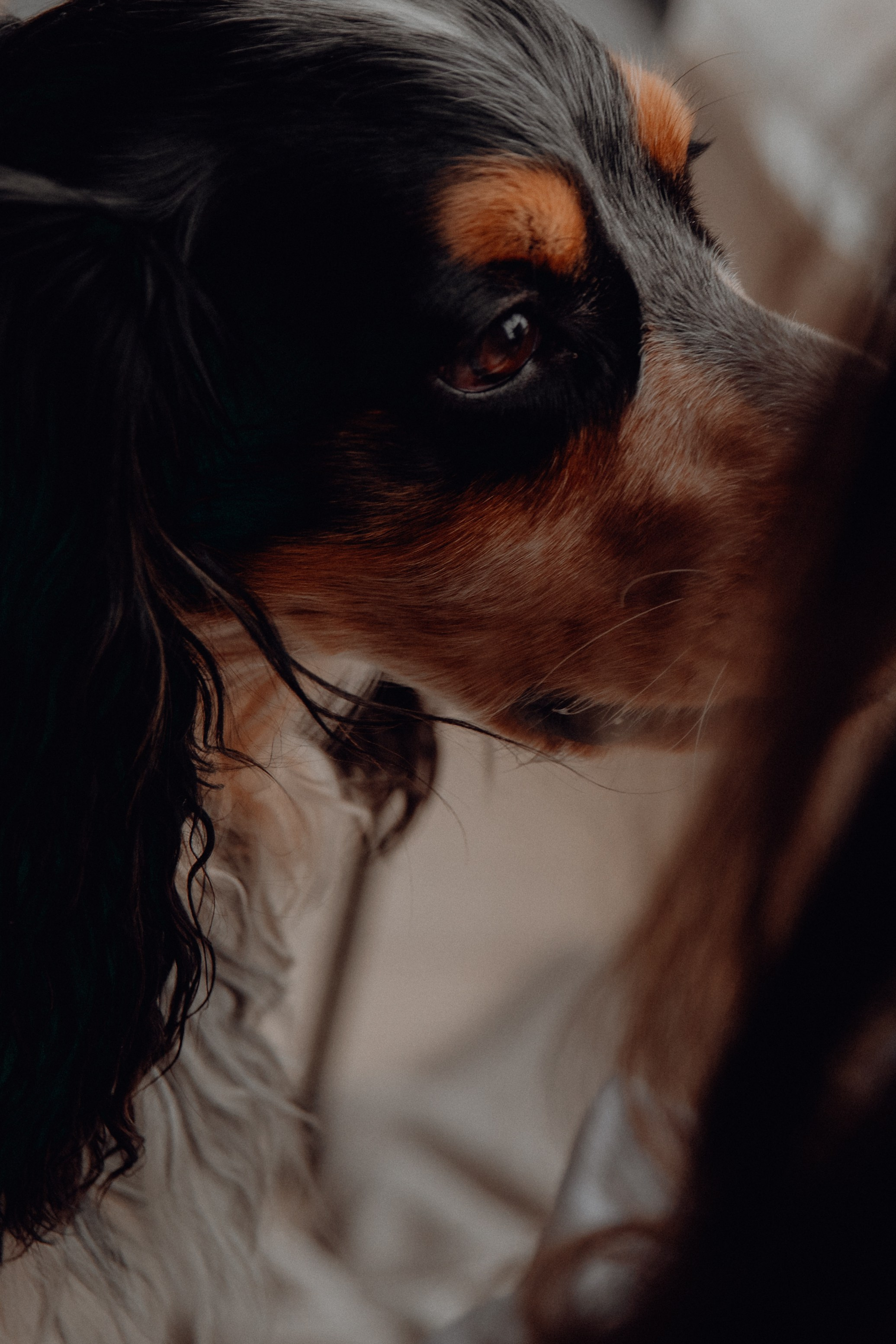 Ася ღ Заур. Портфолио