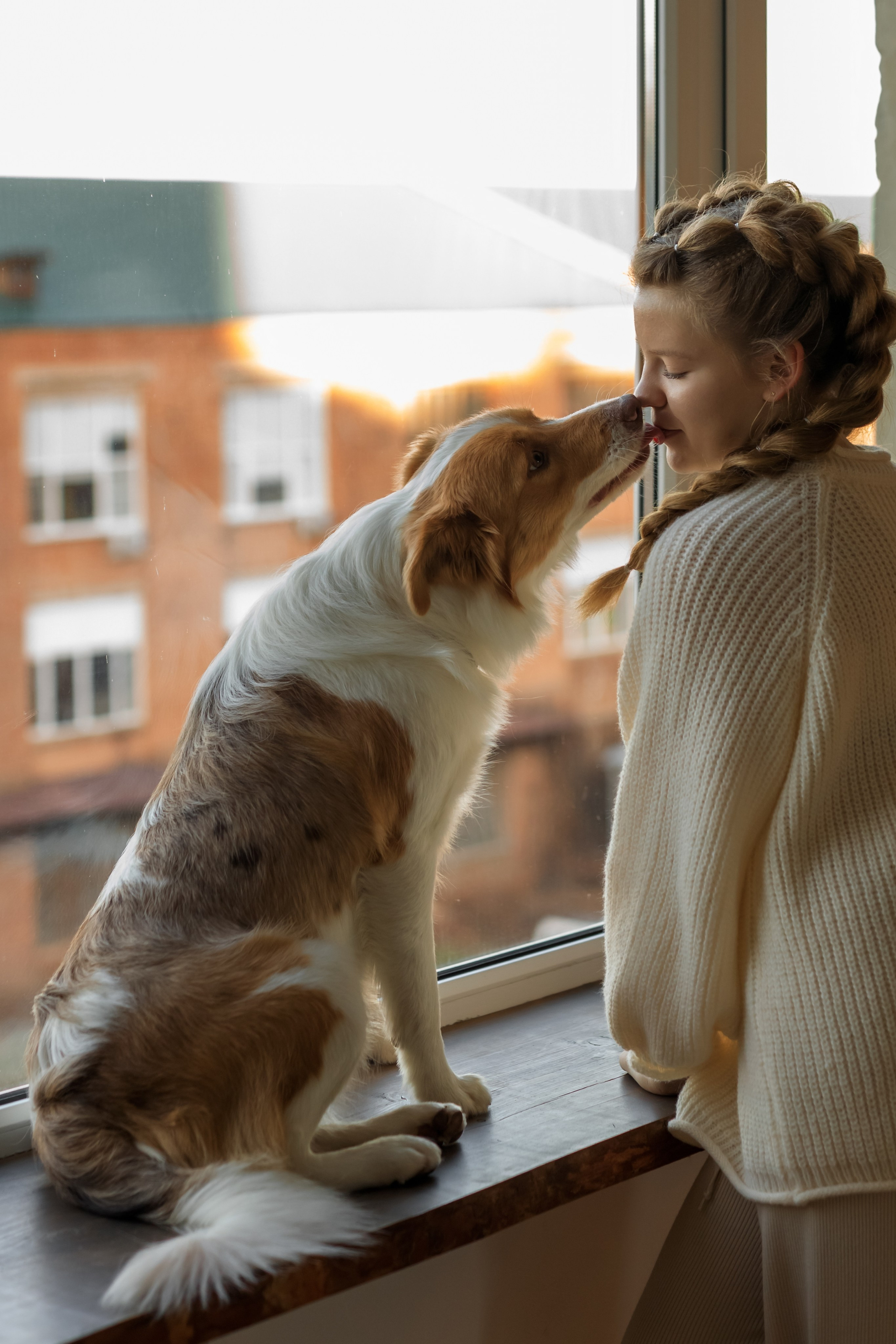 Девочка и собака (студийная). Семейный и детский фотограф в Краснодаре Элона Литвинова