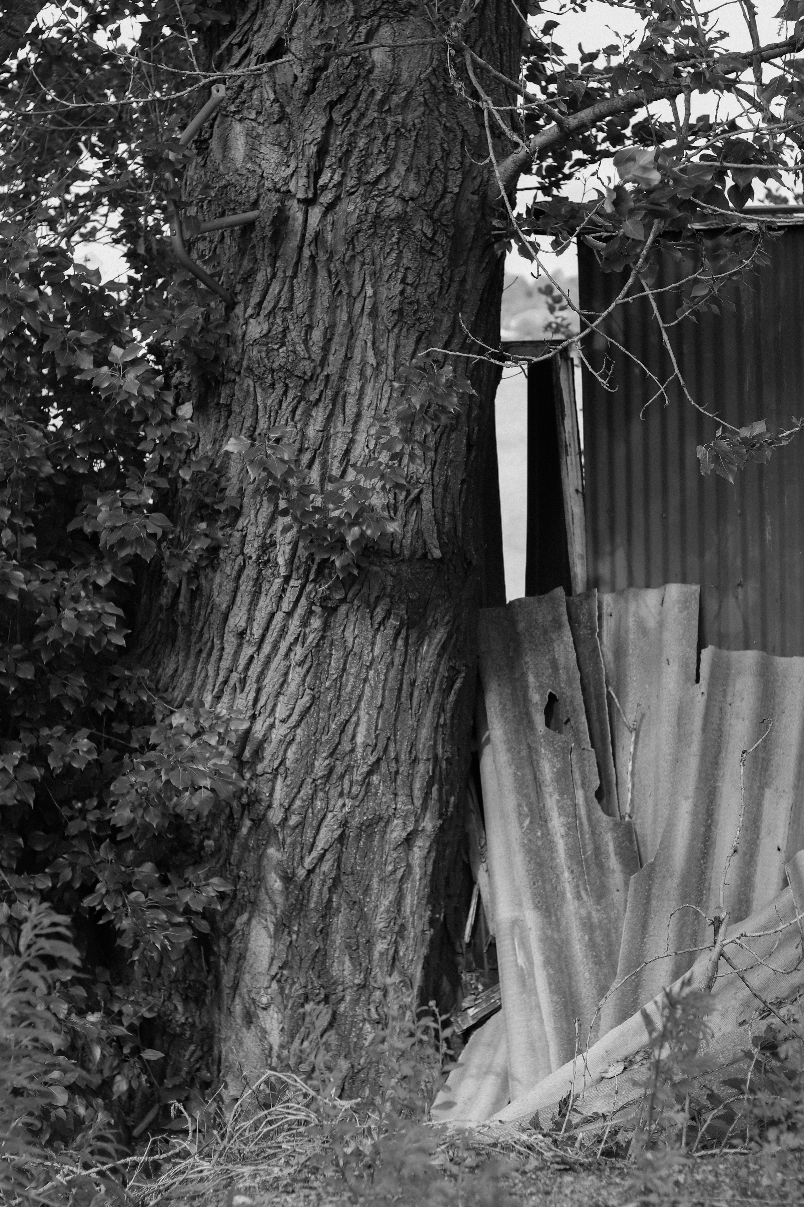 Contour. Фотограф и исследователь фотографии из Санкт-Петербурга Елизавета Веприцкая