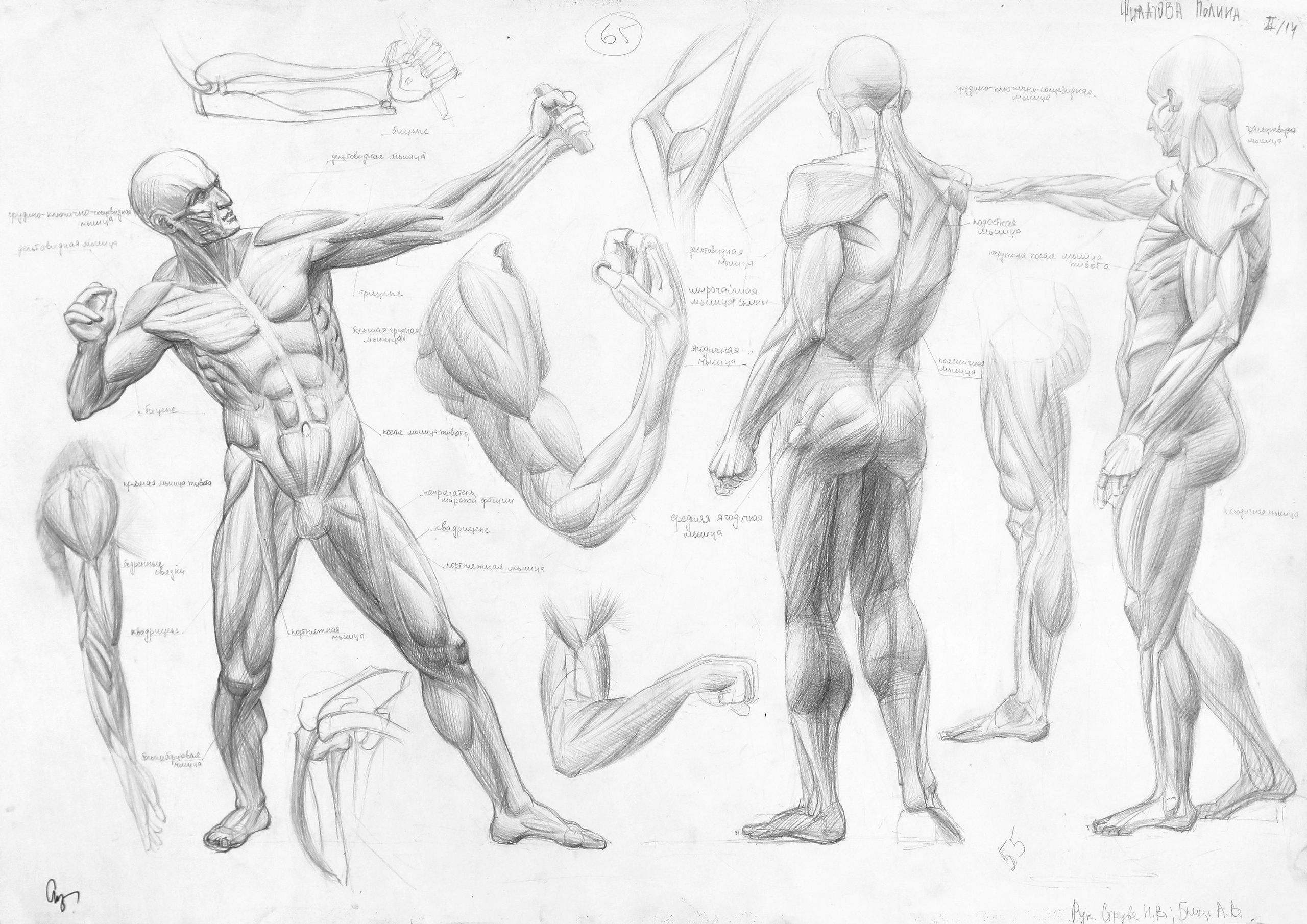 Работы студентов. Главная