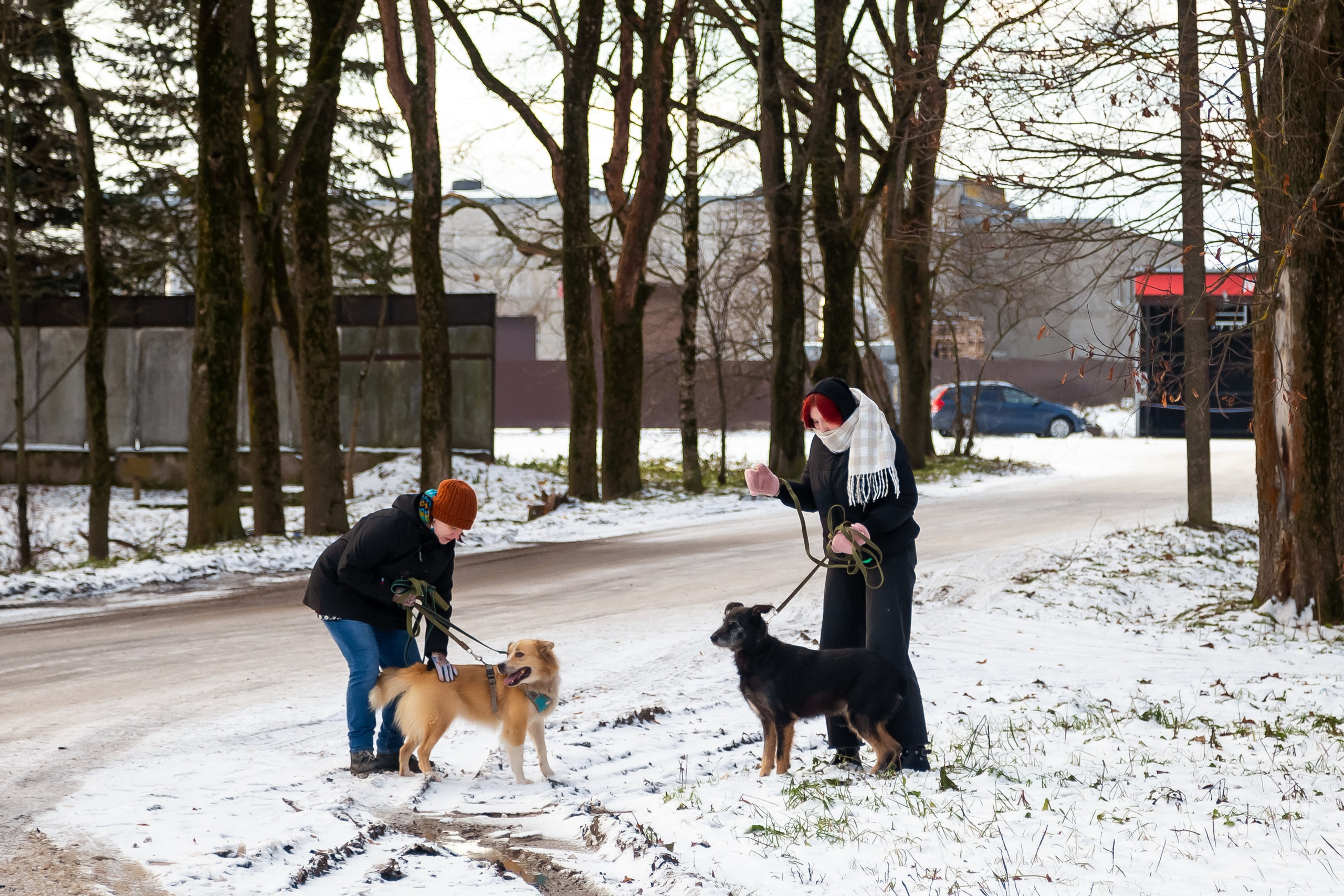Petshop Забота. Фотограф в Санкт-Петербурге Чумаков Семен