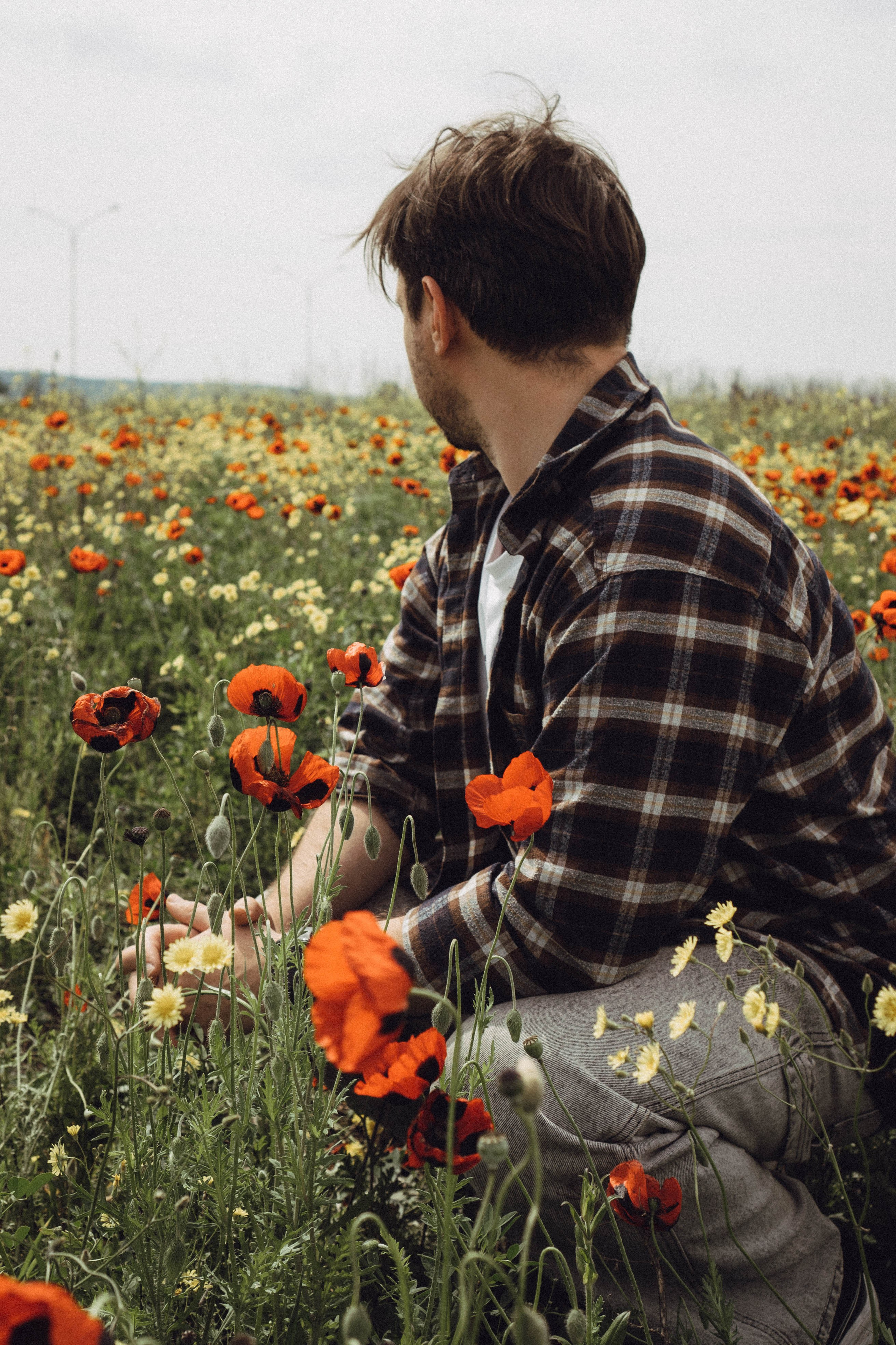 Маки. Профессиональный фотограф, Санкт-Петербург — Виктория Богомолова