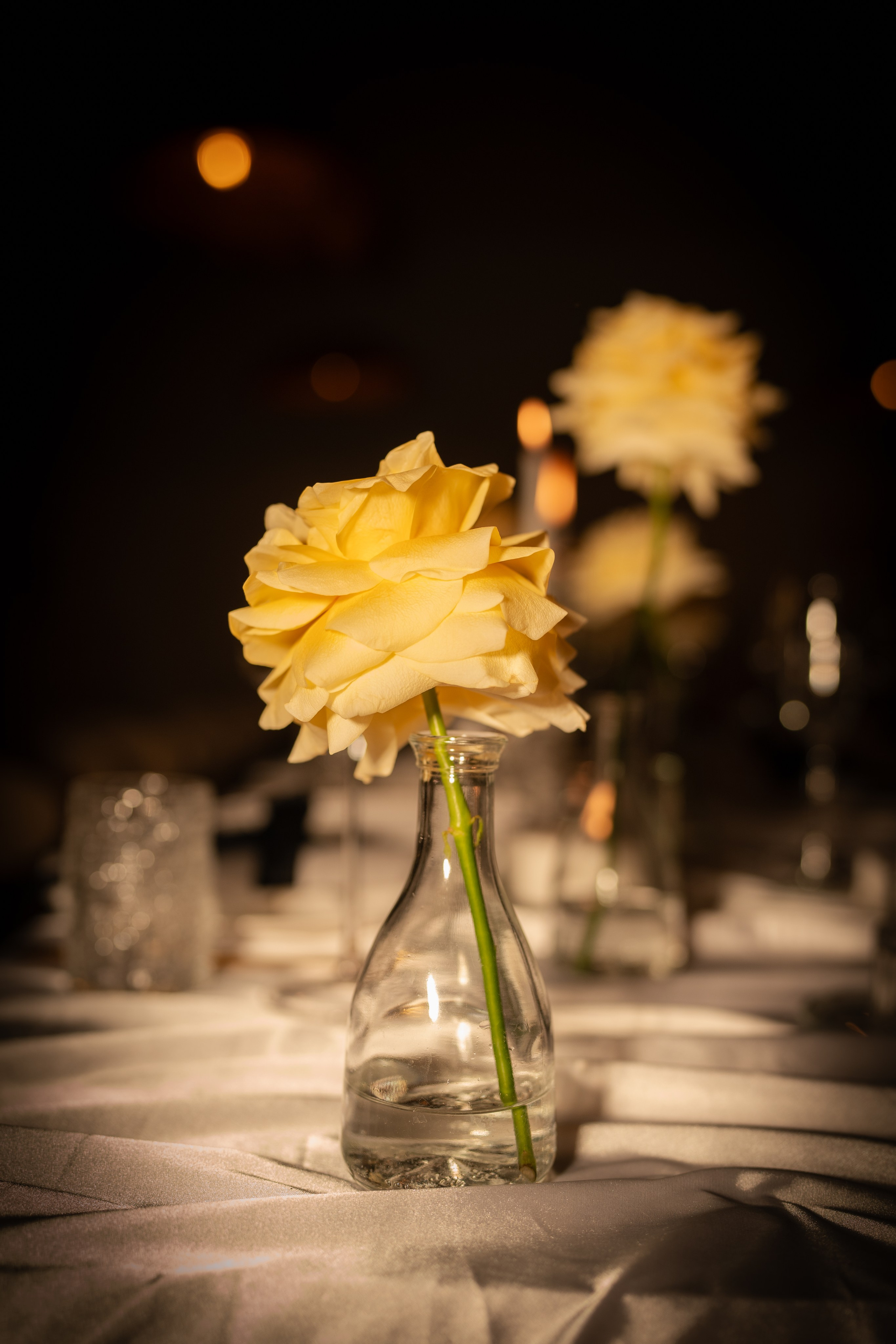 Александр и Мария. Свадебный фотограф Москва