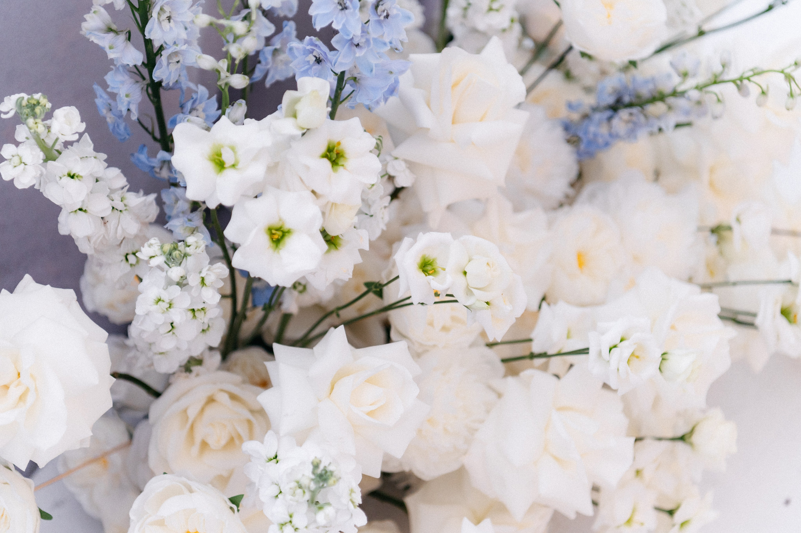 Daria | Egor. Свадебный фотограф Санкт-Петербург DanyaPhotoart