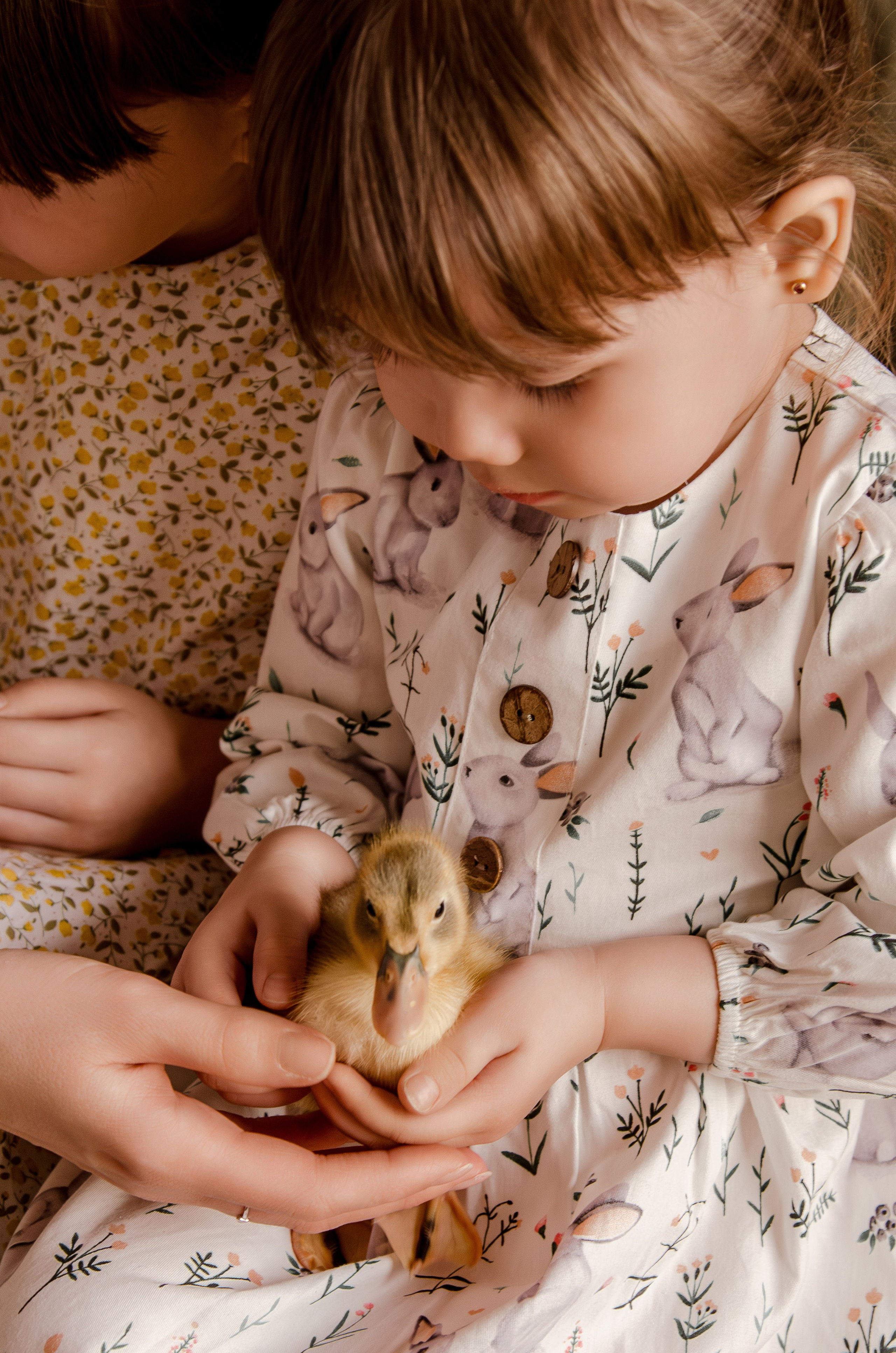 Маленькие кря-кря. Фотографы в Тюмени Андрей и Лидия Войвод