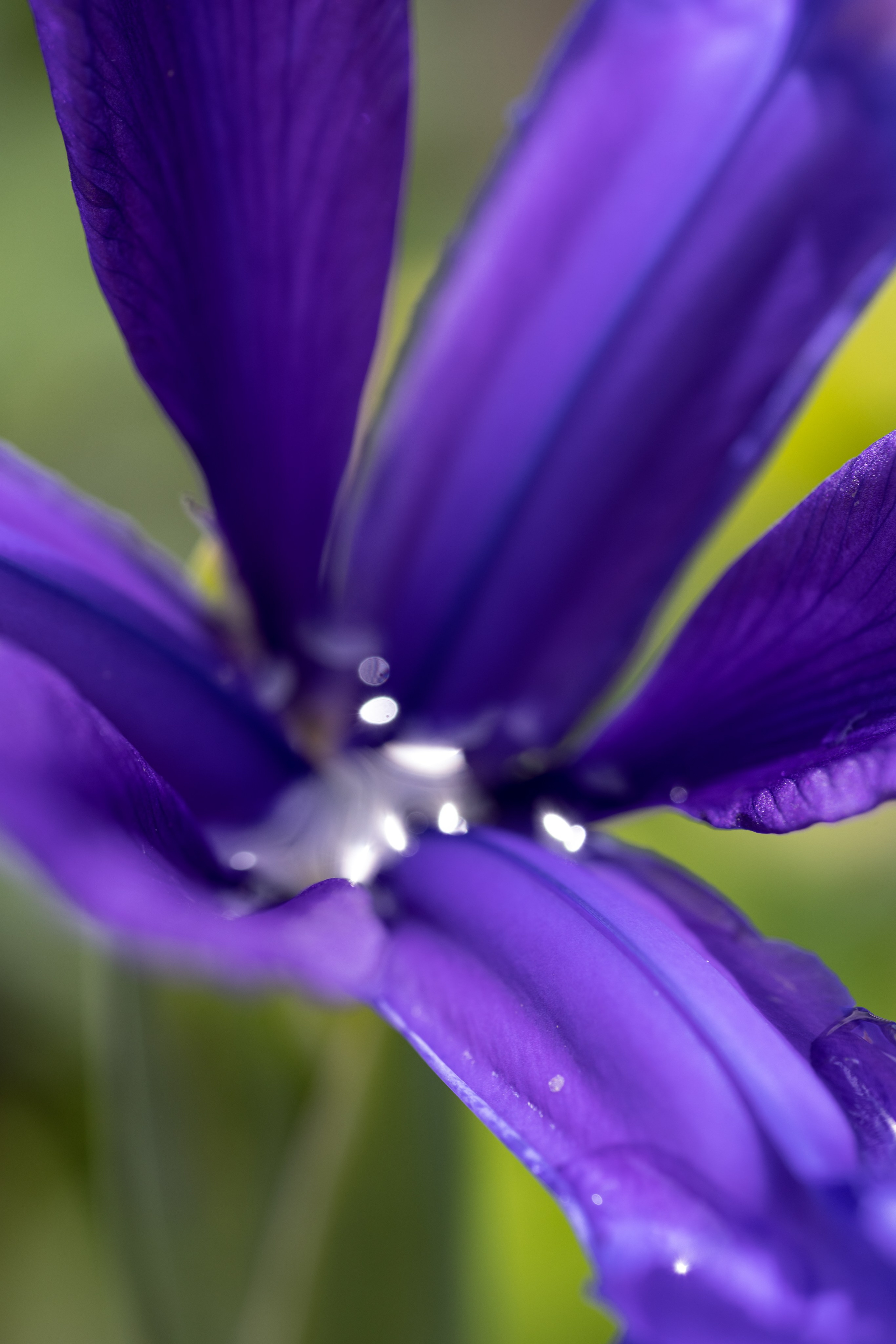 Macro. Фотограф на Юге России