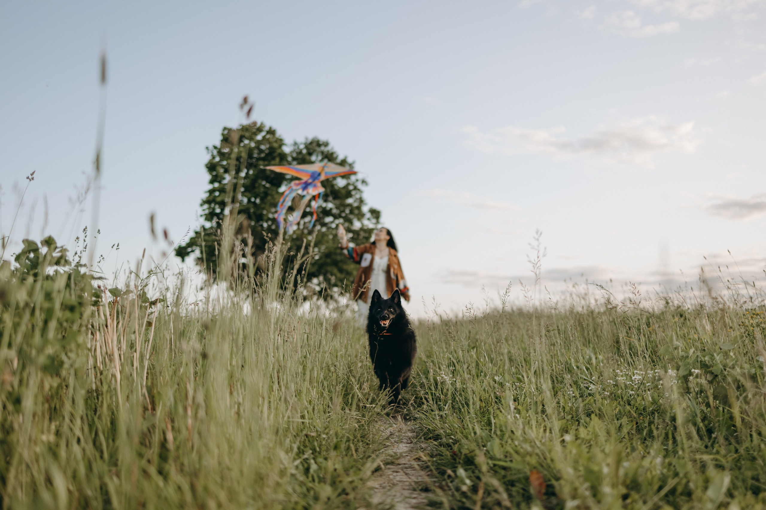 Анна и Максимус. Фотограф — Анималист | Санкт-Петербург