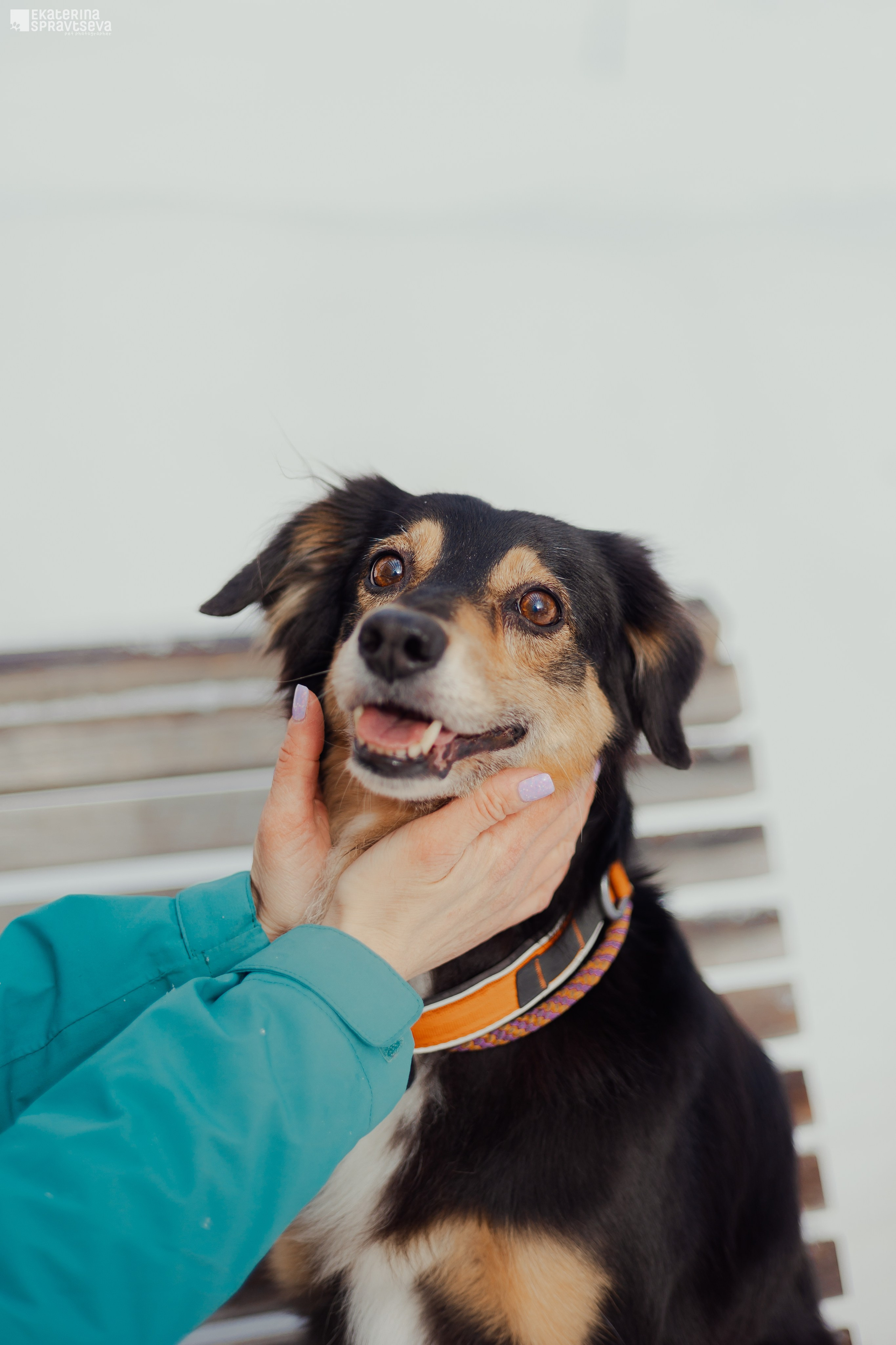 Алла и Кобра. Фотограф Анималист Екатерина Справцева в Нижнем Новгороде