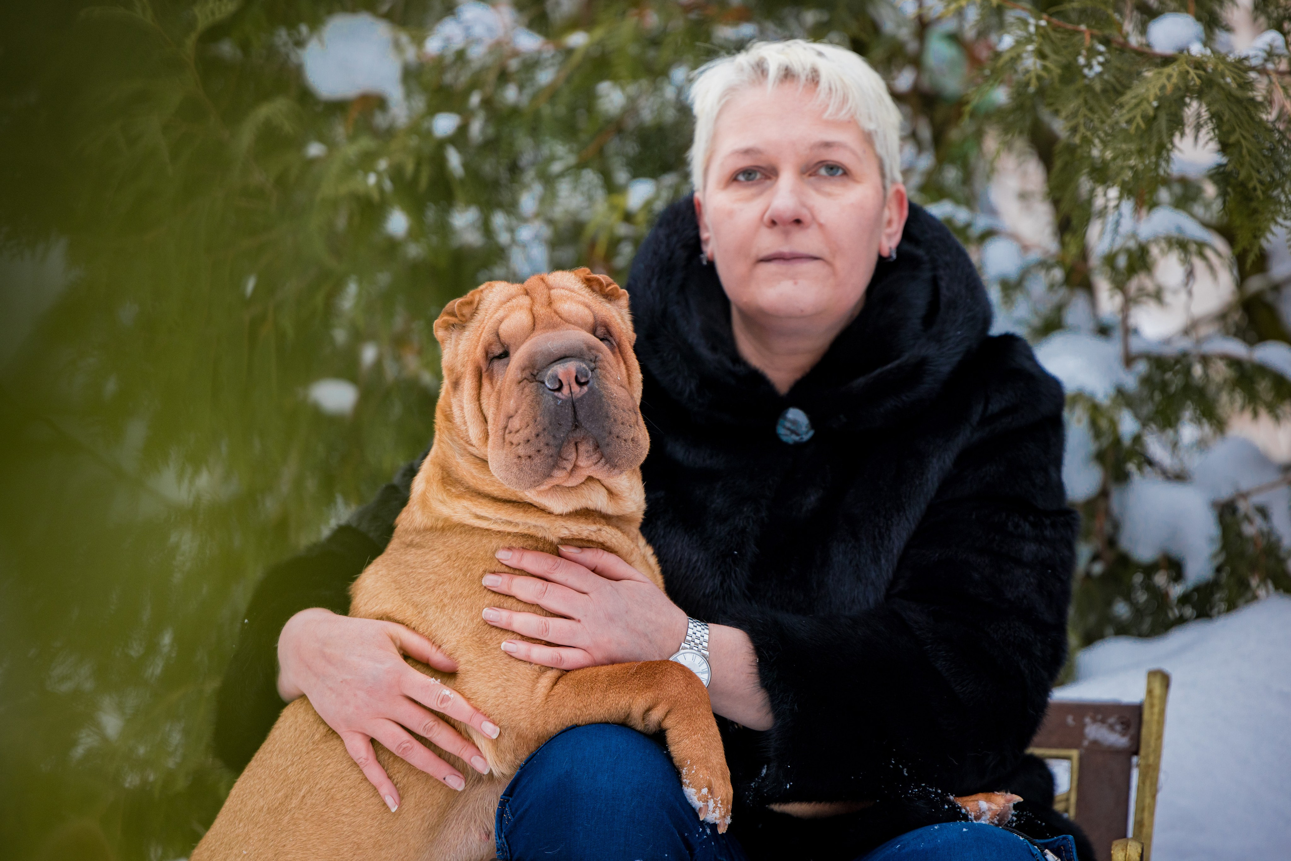 В гостях у шарпеев 16.01.2024. Фотограф-анималист Юлия Германика