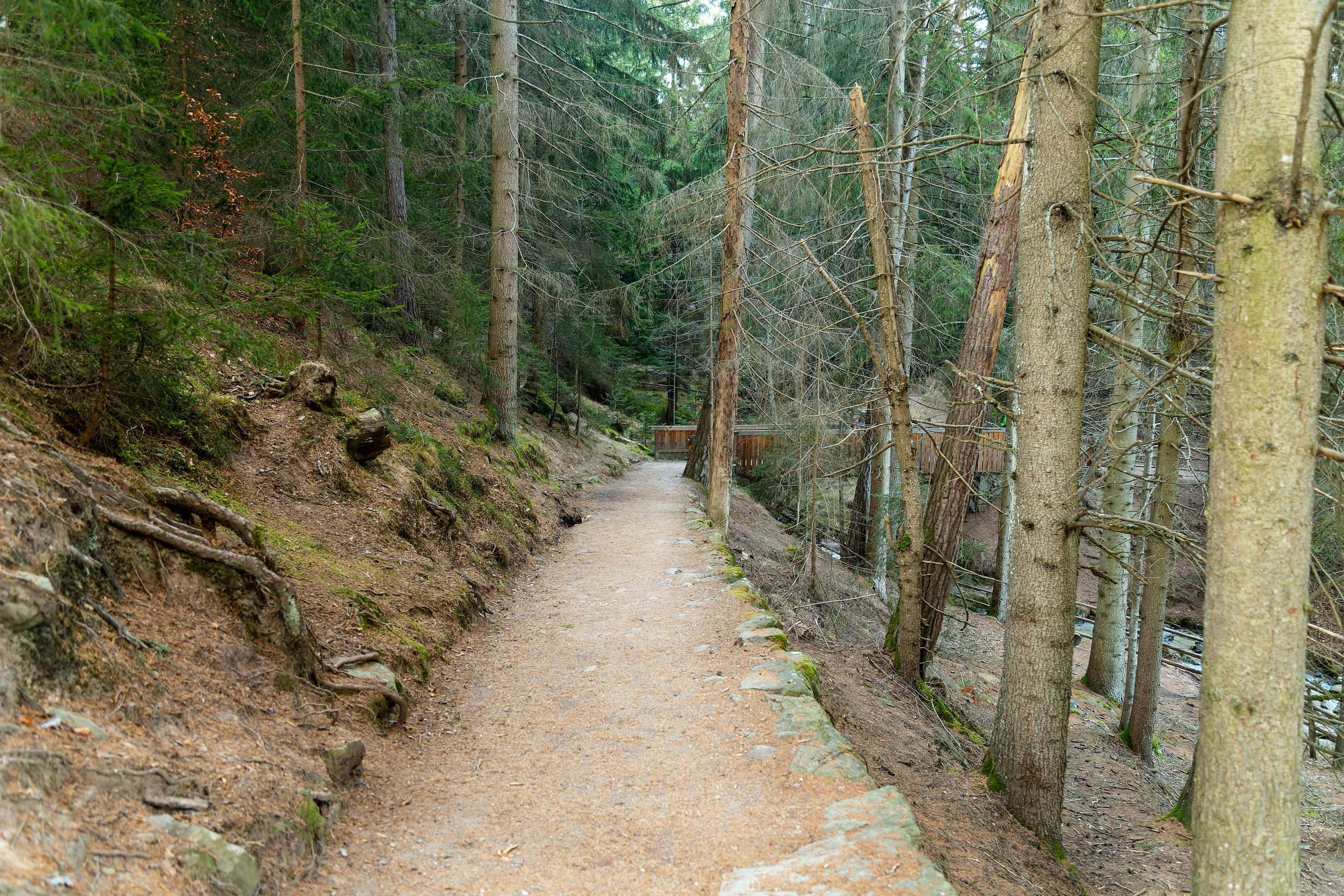 Фотосъёмка Альпы Италия, пейзажи и архитектура. «Студия DRONAVT`s» — видеосъёмка и фотография г. Москва