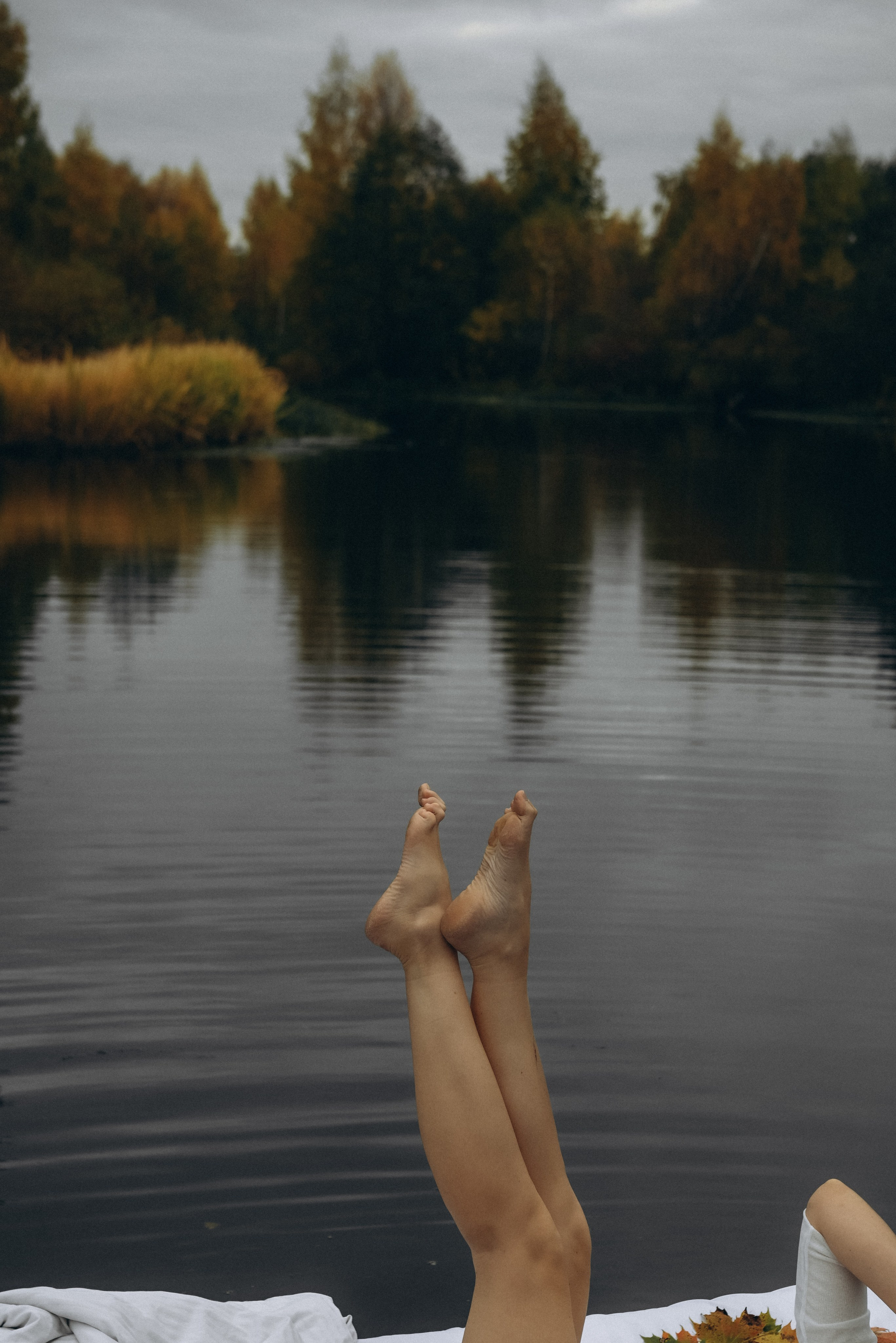 Осень 🍁🍂. Фотограф МО Матвеева Виктория 🖤