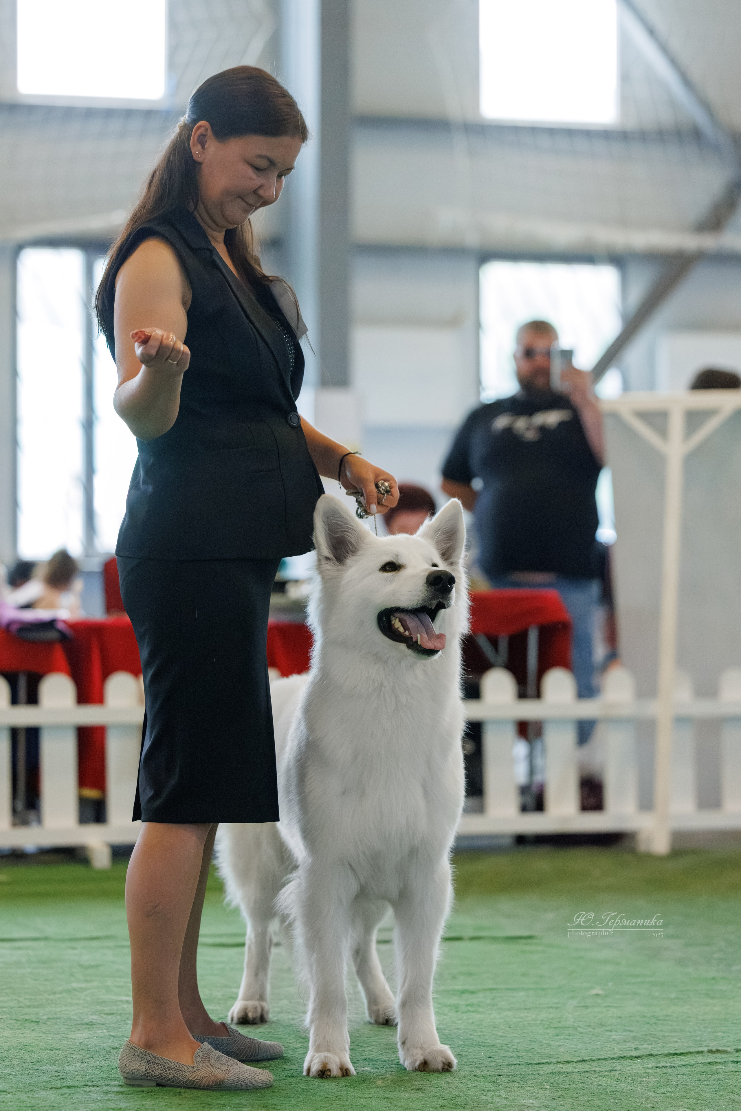 Батуми 3хCACIB 27-29.06.2025. Фотограф-анималист Юлия Германика