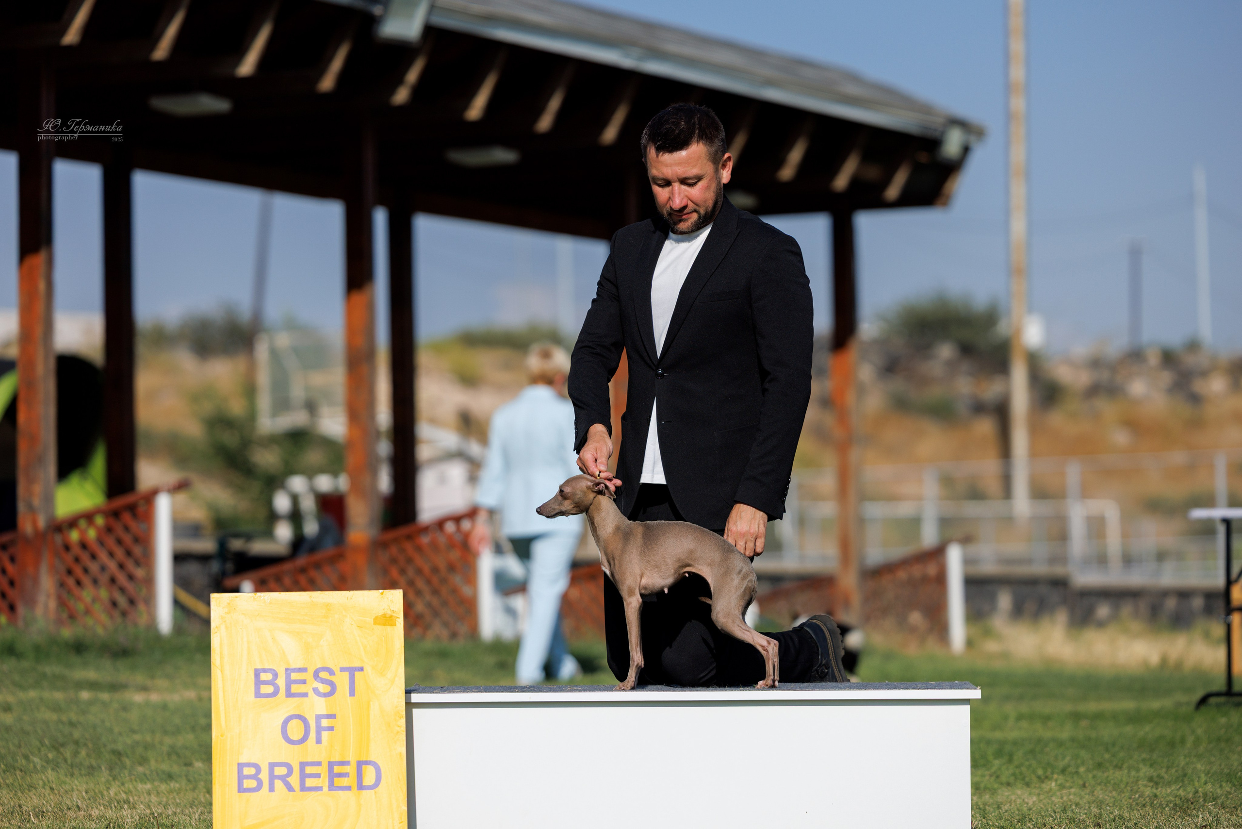 Ереван 3хCACIB 23-25.06.2025. Фотограф-анималист Юлия Германика