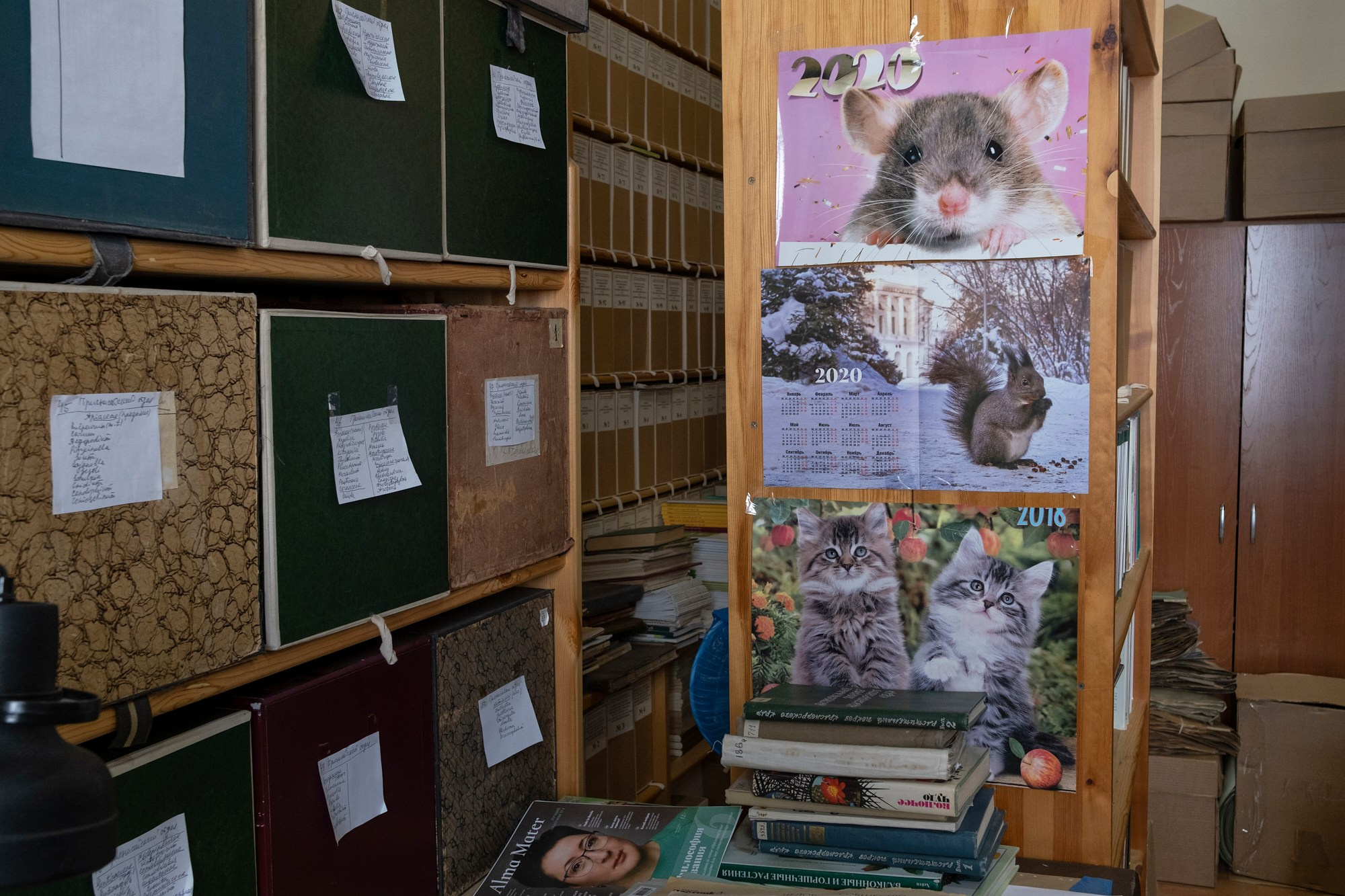 Гербарий ТГУ, herbarium