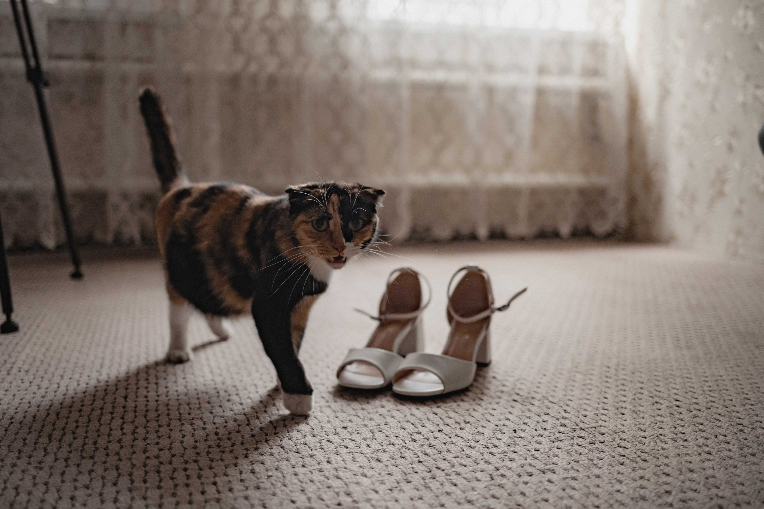 Наиль Джамиля 09.09.23