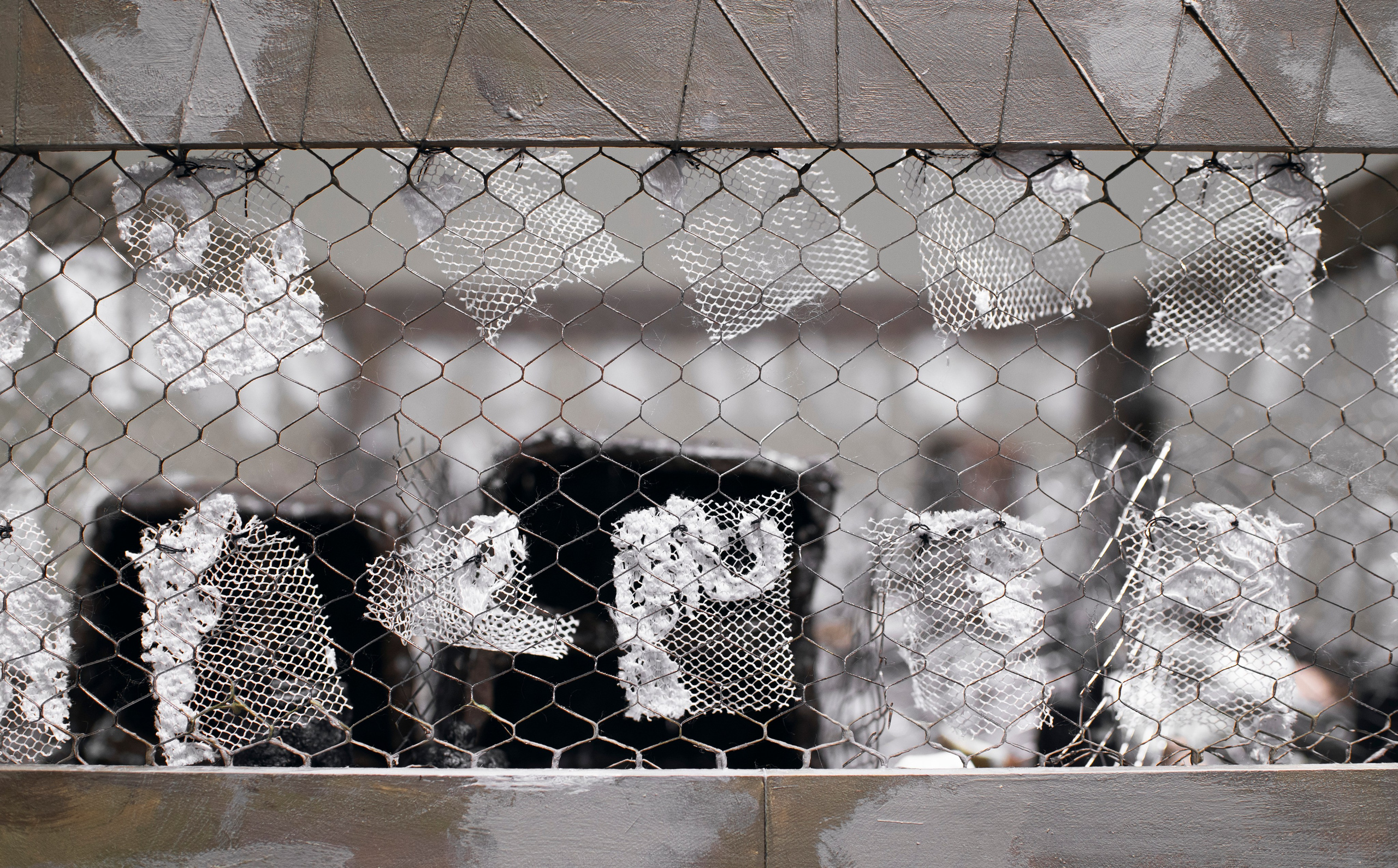 Выставка в доме Третьяковых. Фотограф в Москве Алейникова Евгения