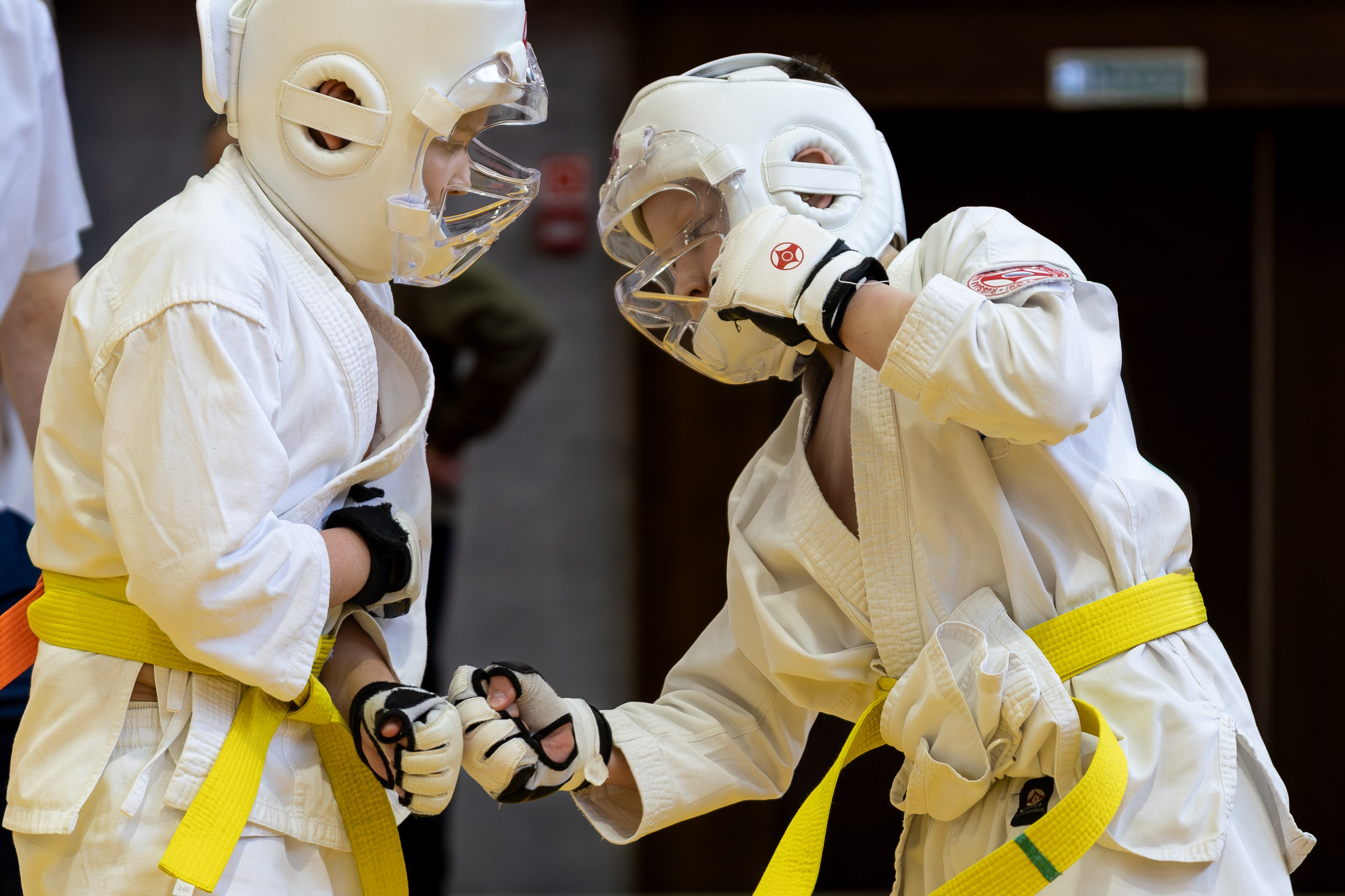 Карате кумите. Главная