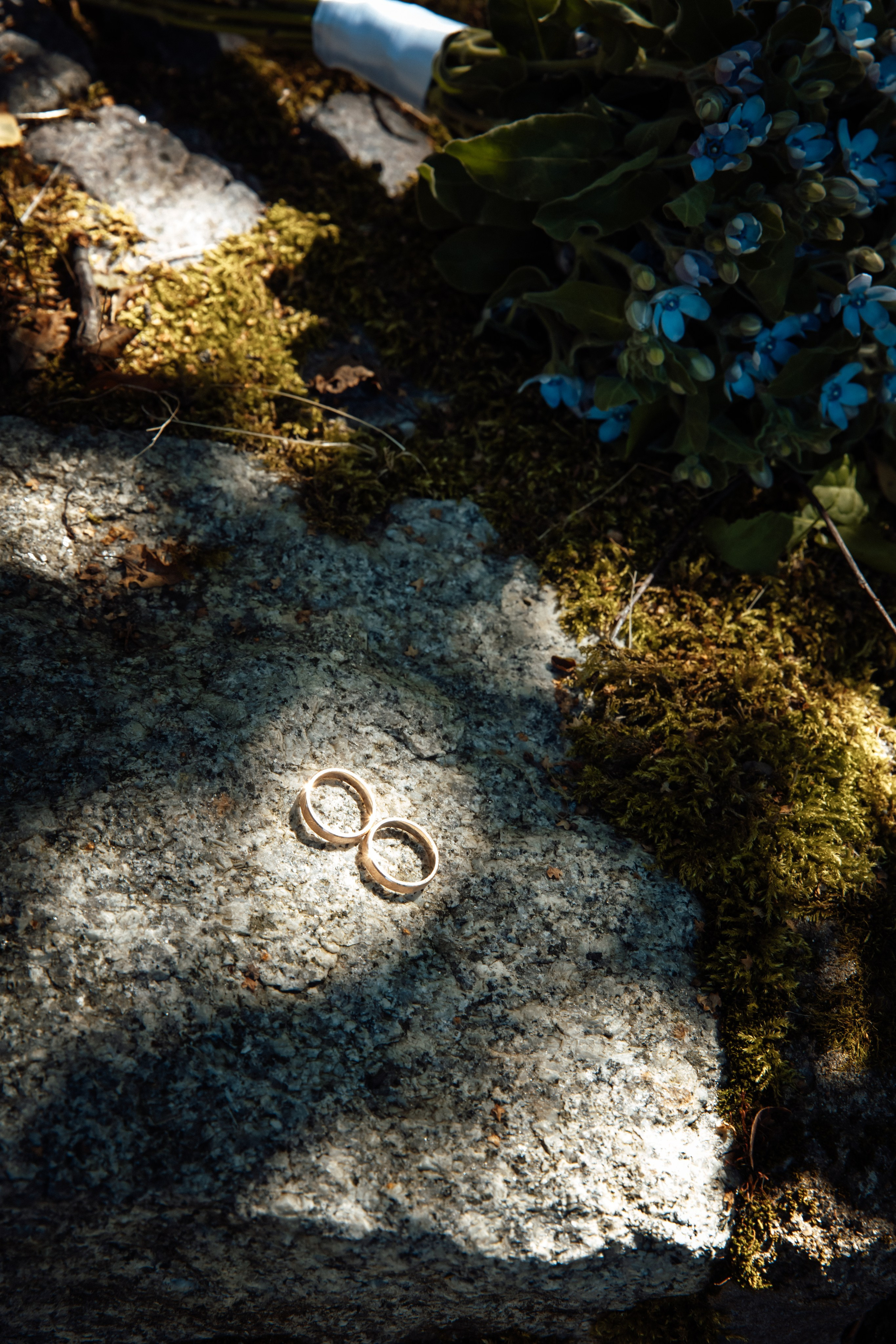 Михаил и Виктория. Фотограф Калининград Илья Миллер