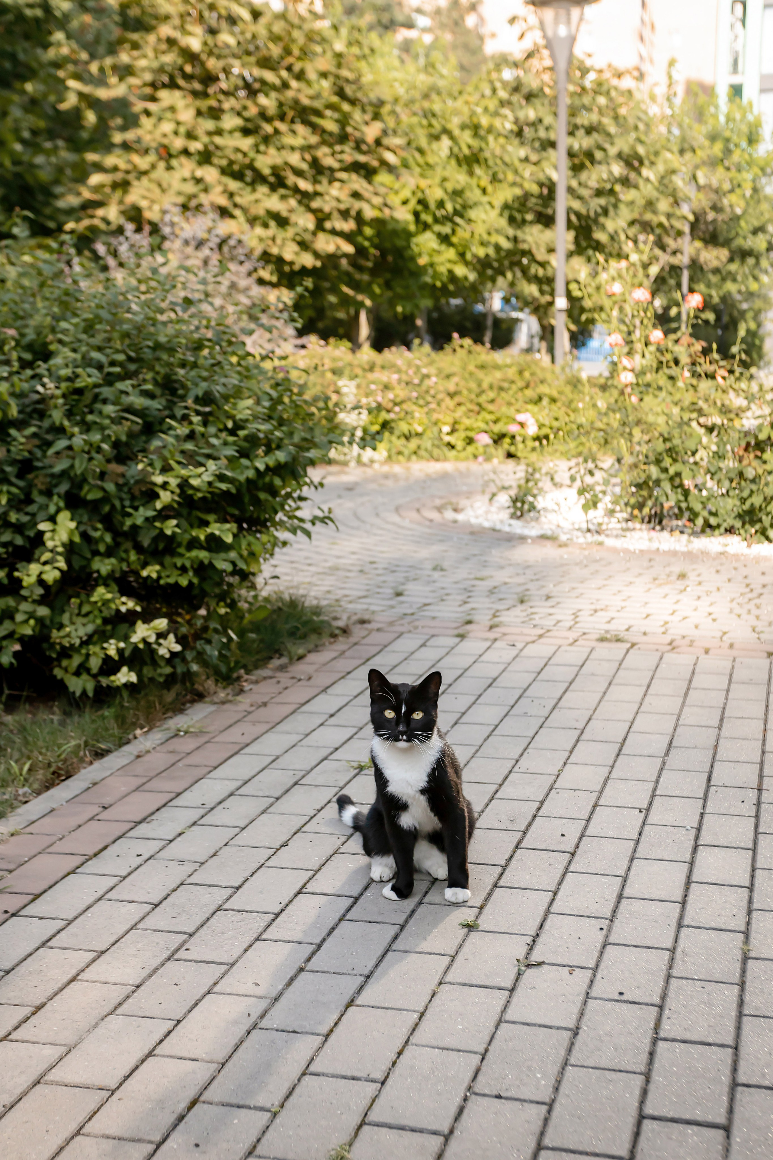 ВЛАДИМИР И ОКСАНА. Свадебный фотограф в Воронеже Ирина Кривцова