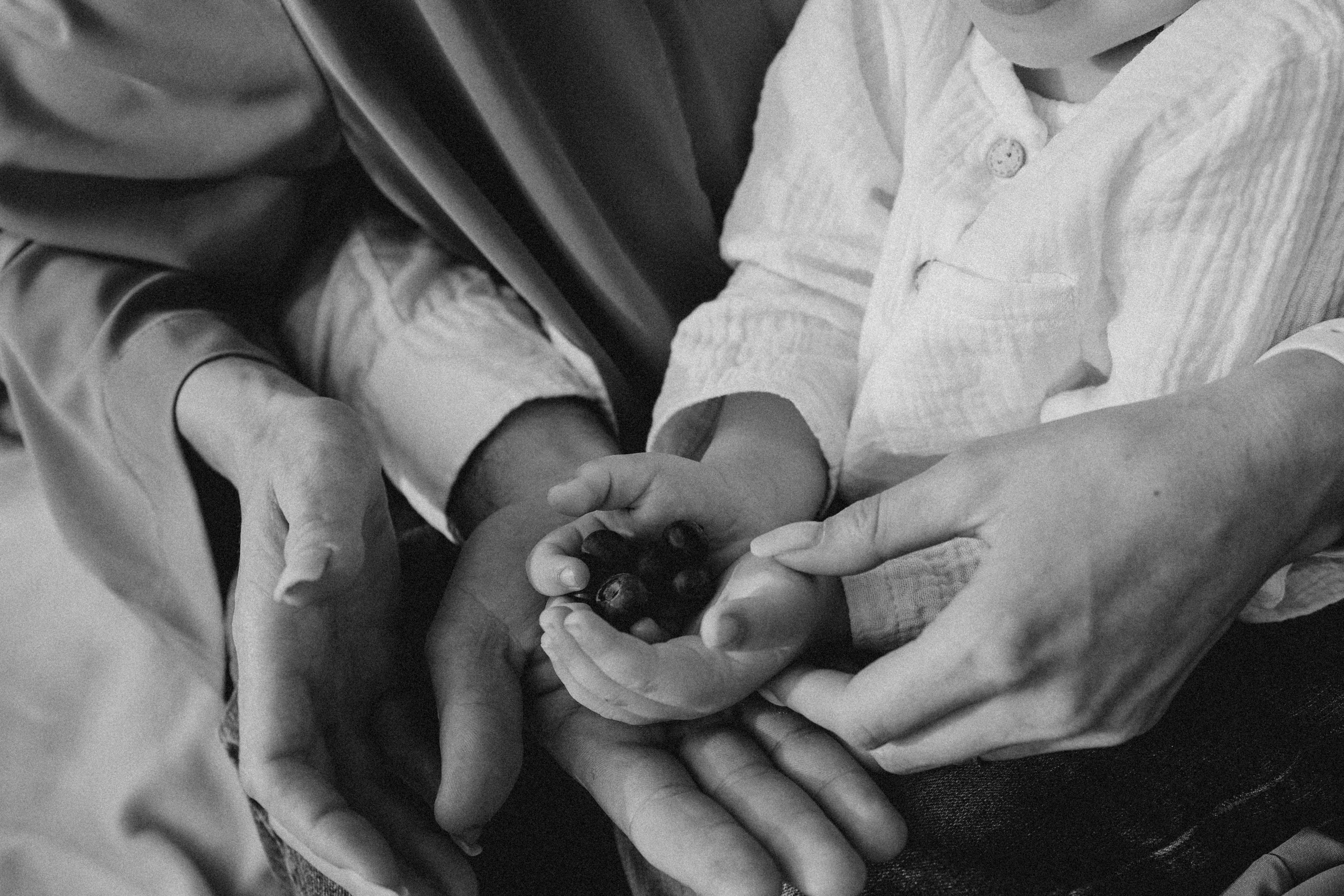 Маковая история. Фотограф Немазенко Ольга