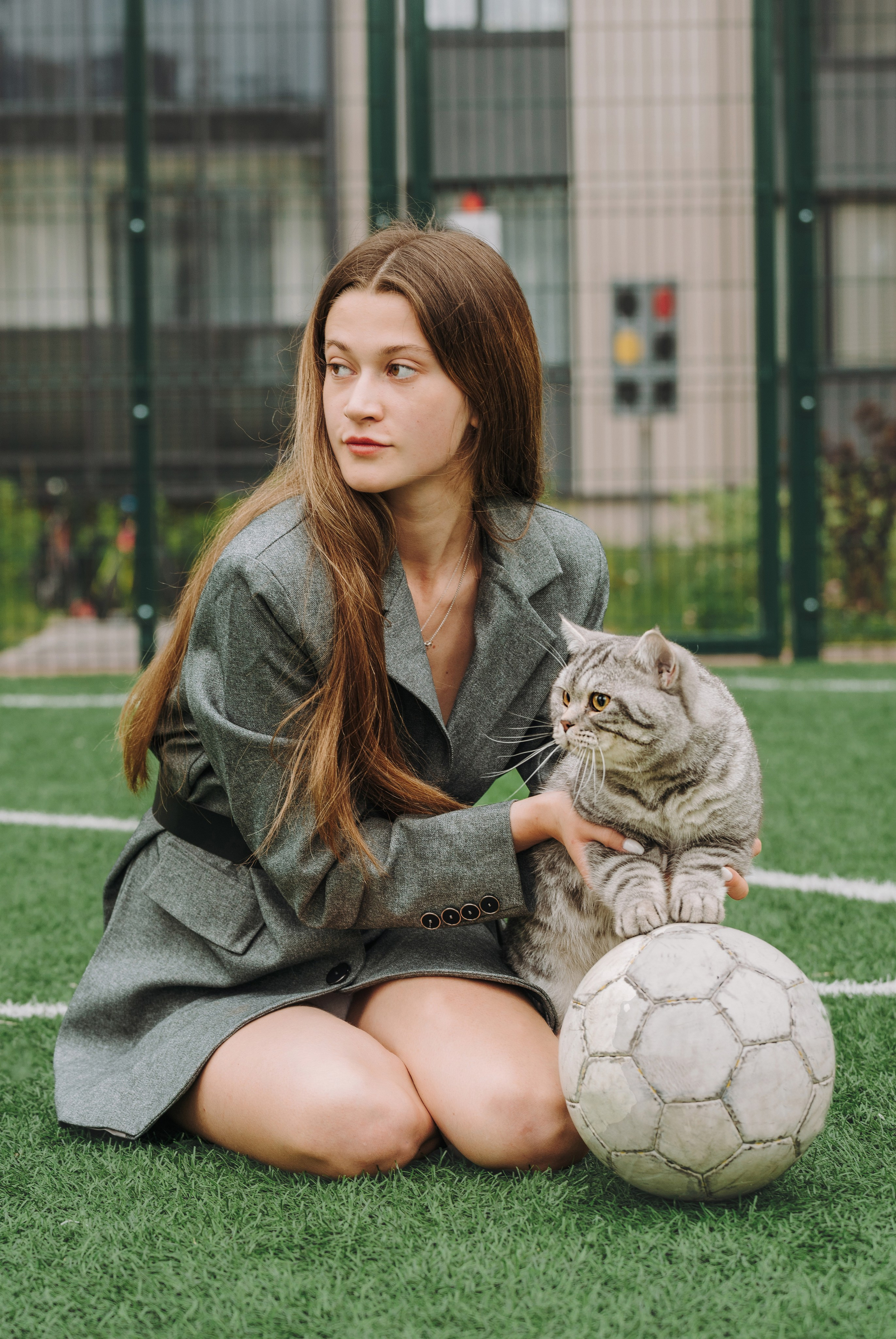 Портфолио кошки, фотограф Олеся Майрова. Фотограф анималист в Спб недорого Олеся Майорова