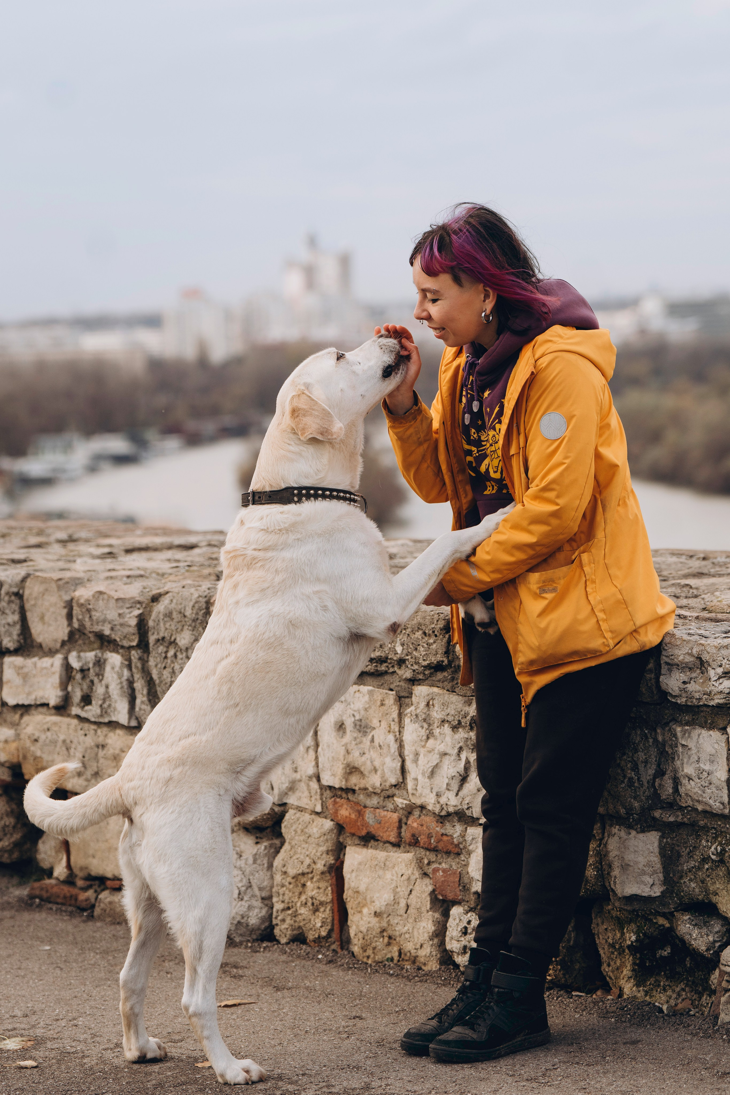 Вати, Лена и Леван. Фотограф анималист в Спб недорого Олеся Майорова