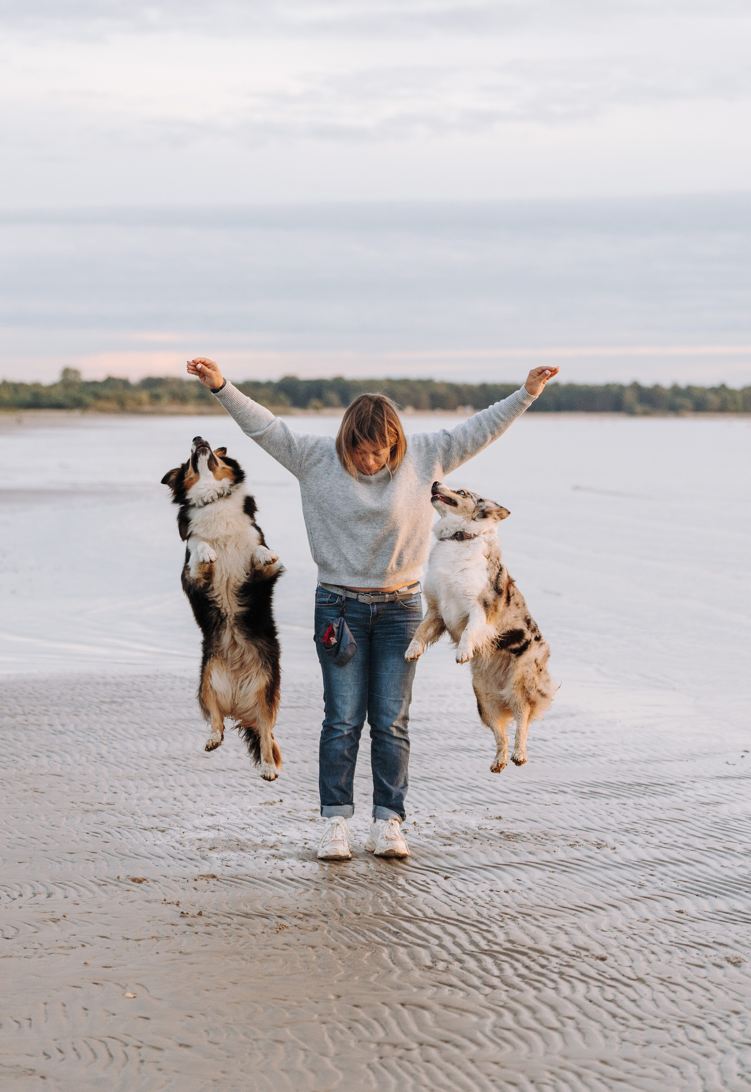 Фотограф анималист в Спб. Фотограф анималист в Спб недорого Олеся Майорова