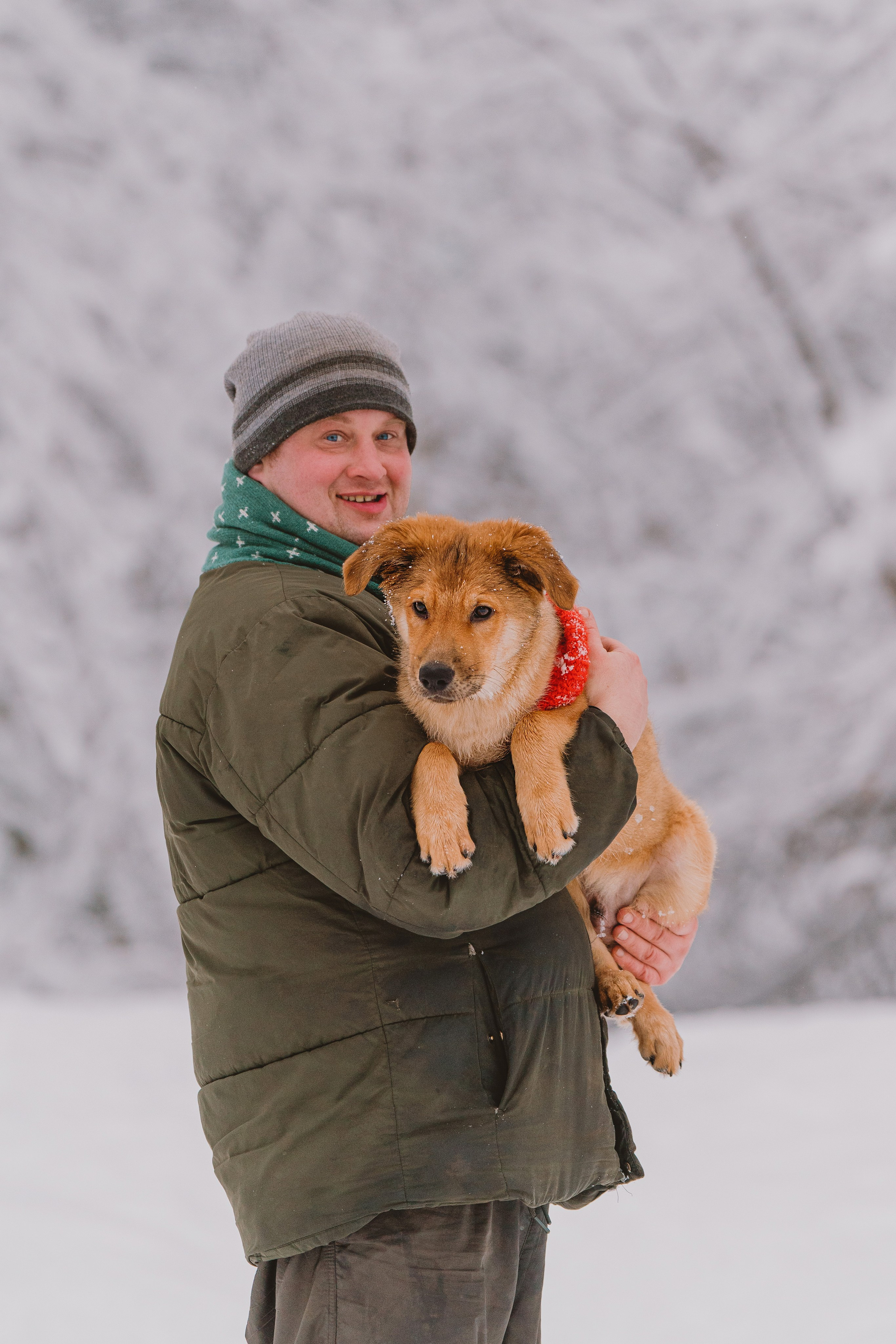 Фотосессия с питомцами на природе. Фотограф анималист в Спб недорого Олеся Майорова